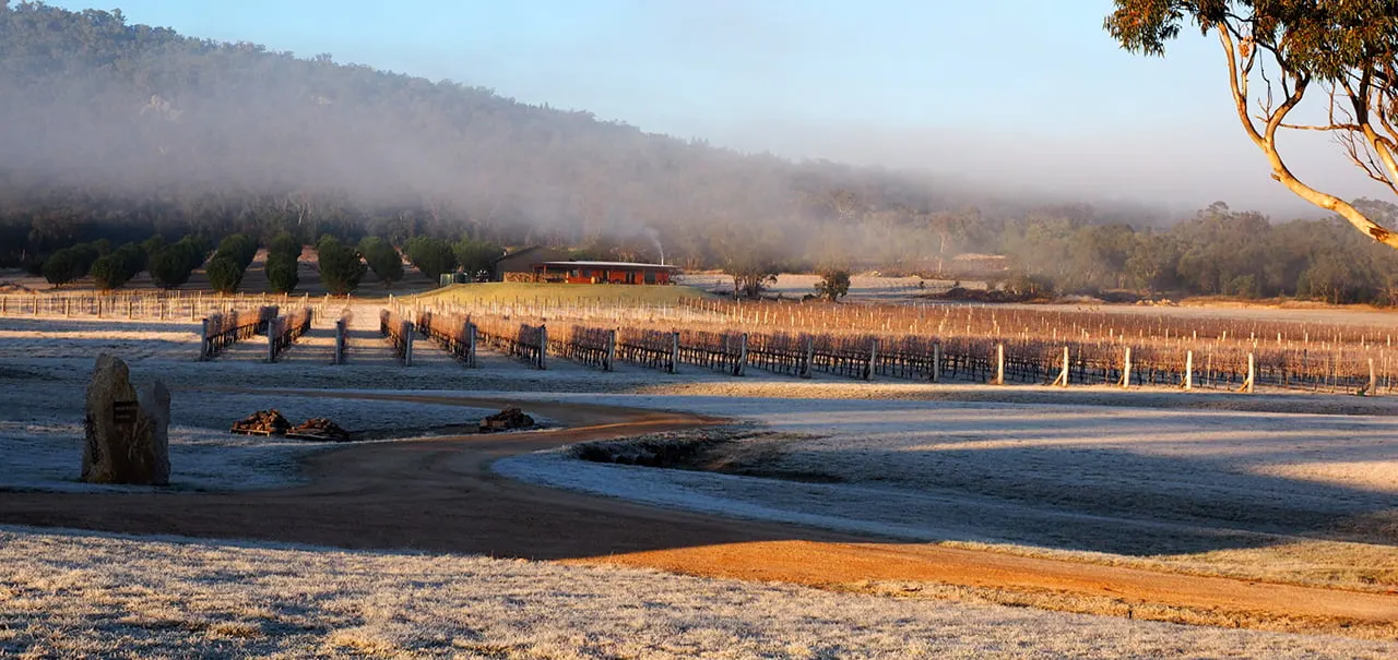 Savina Lane Wines