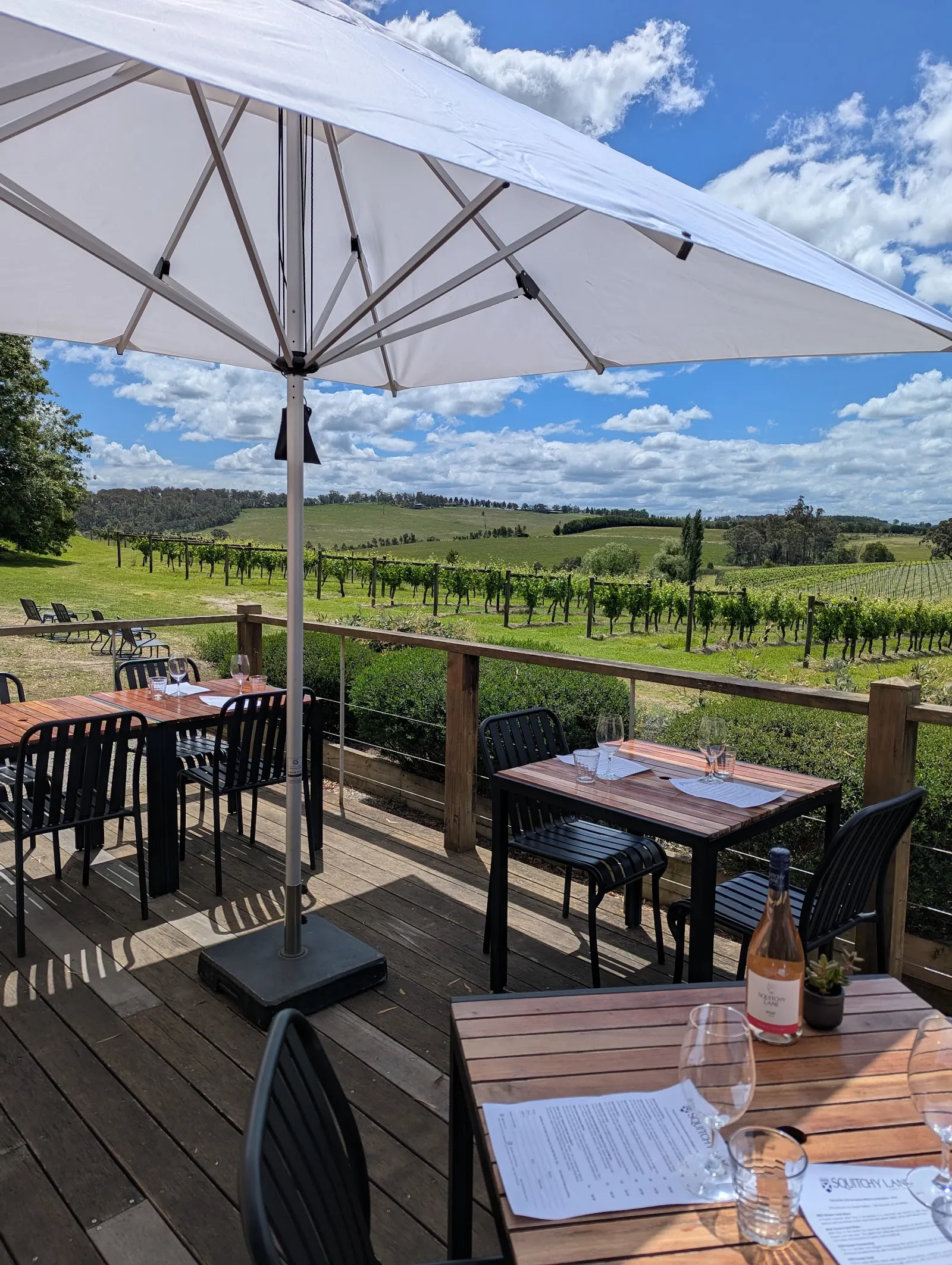 Squitchy Lane Vineyard