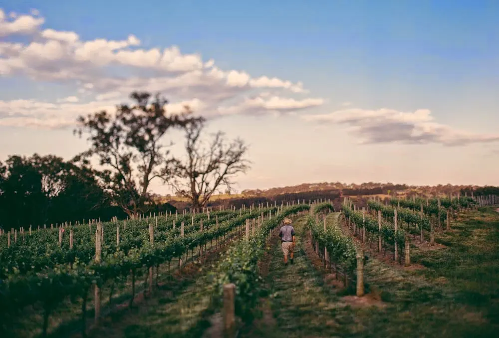 Lobethal Road - Winery