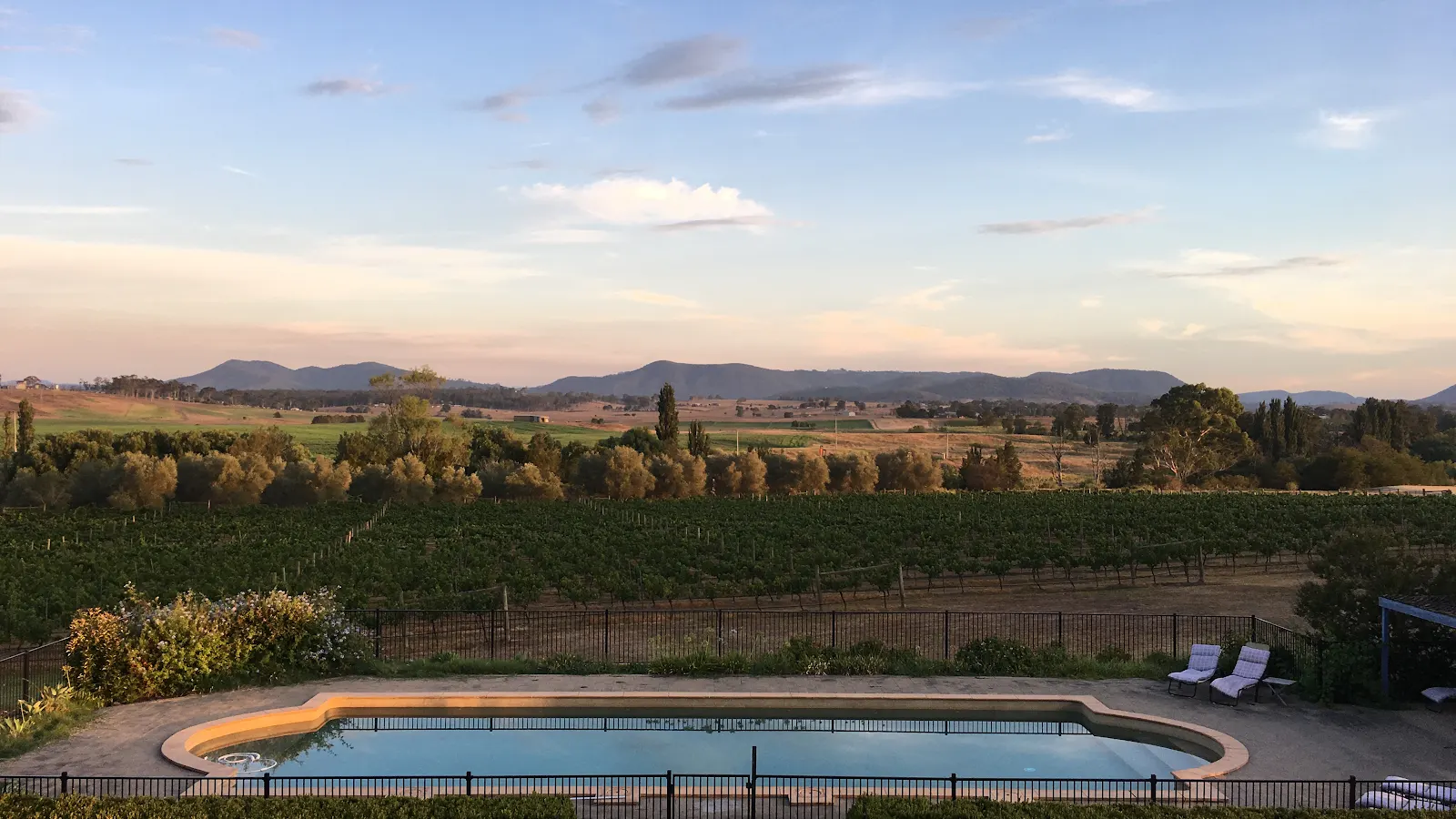 Tranquil Vale Vineyard
