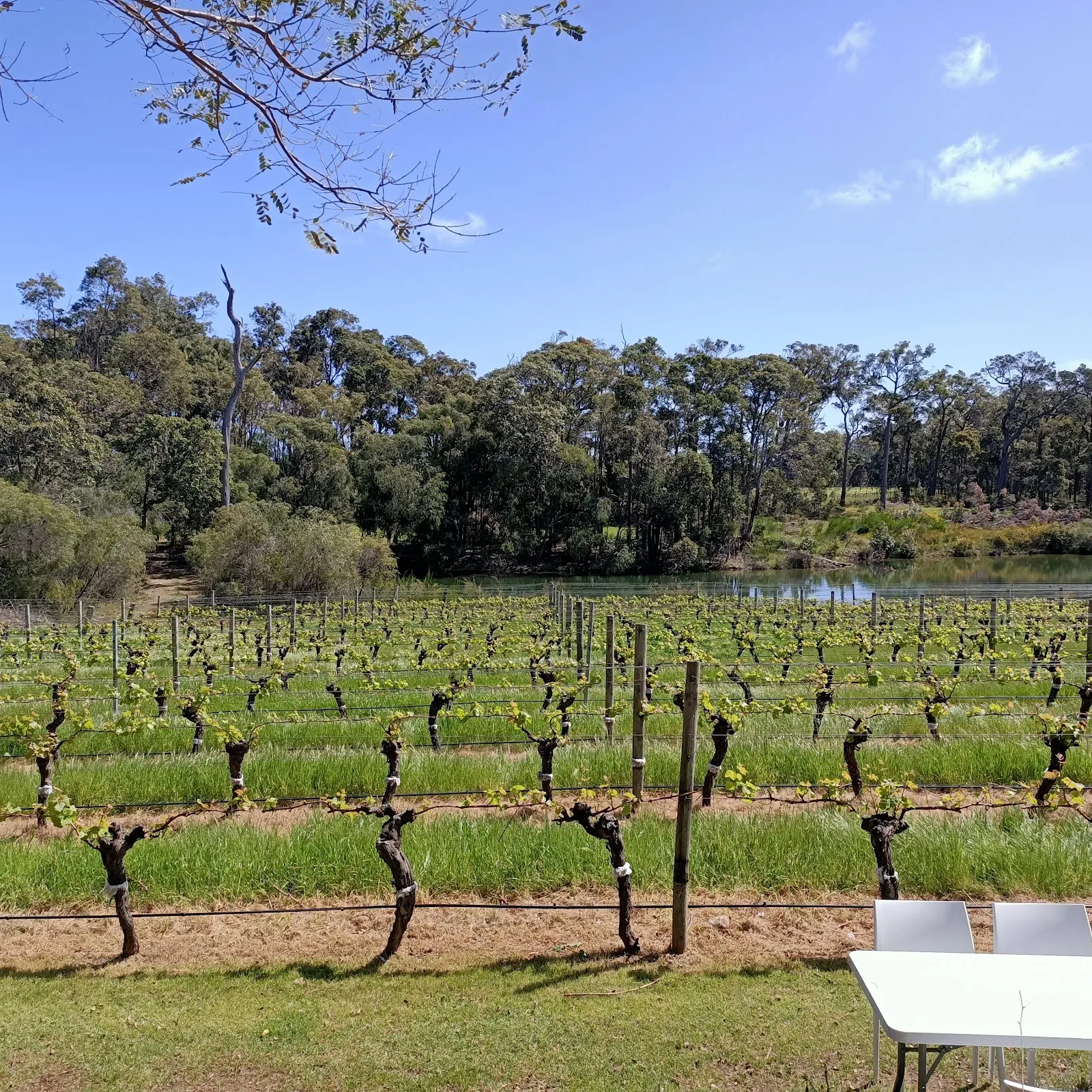Montague Estate