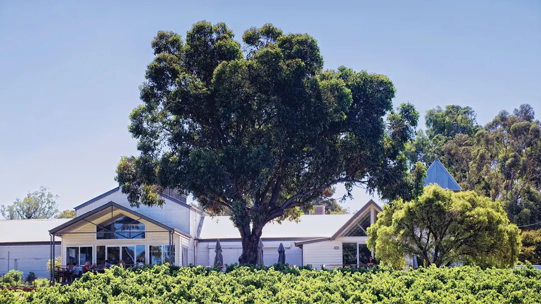 Hay Shed Hill Wines