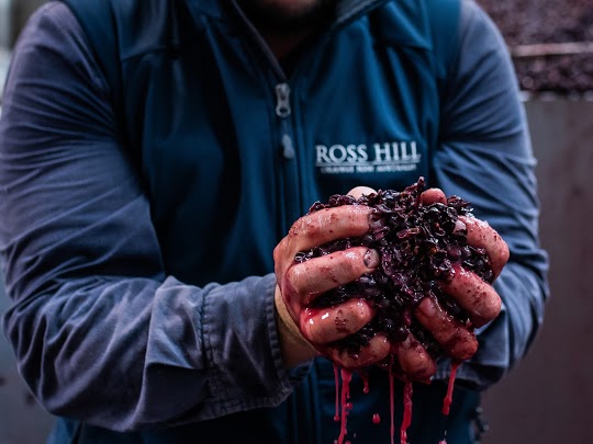Ross Hill Wines