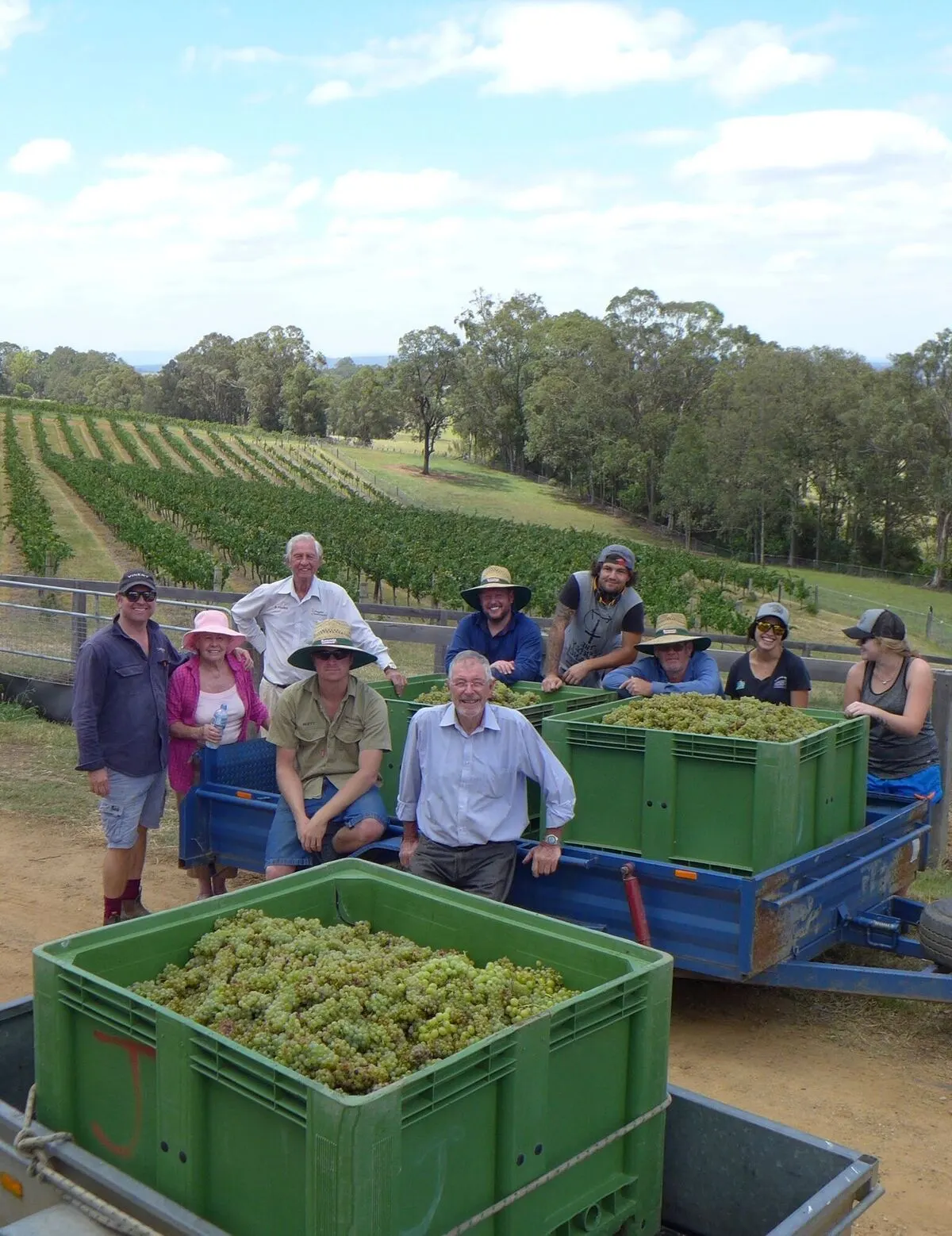 Elbourne Wines