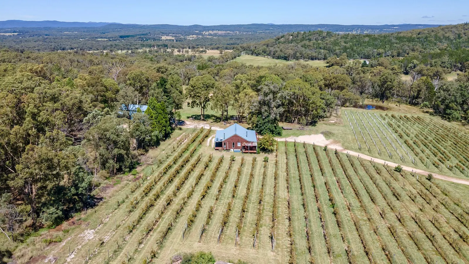 Ravenscroft Vineyard