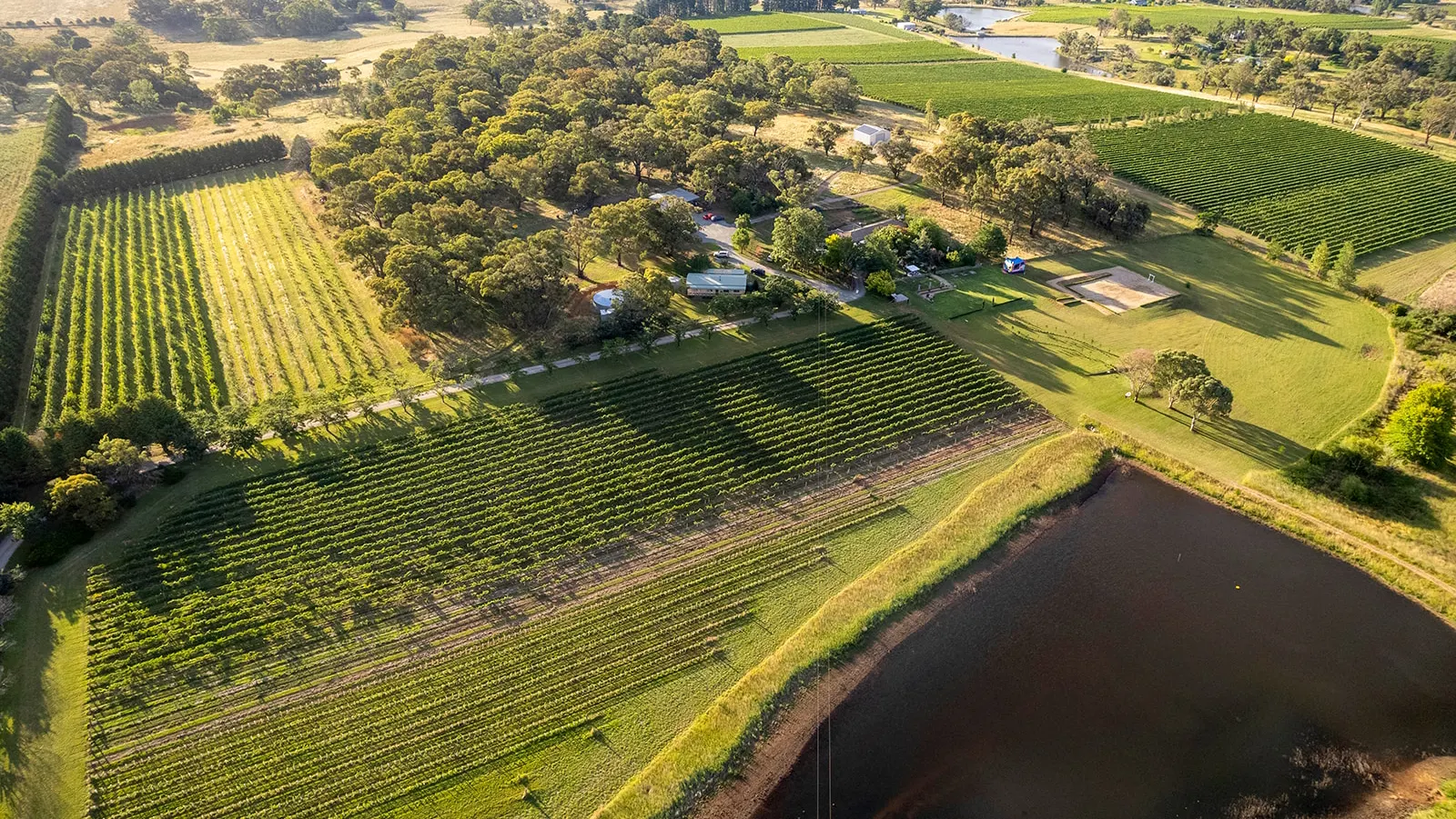 Stockman's Ridge Wines