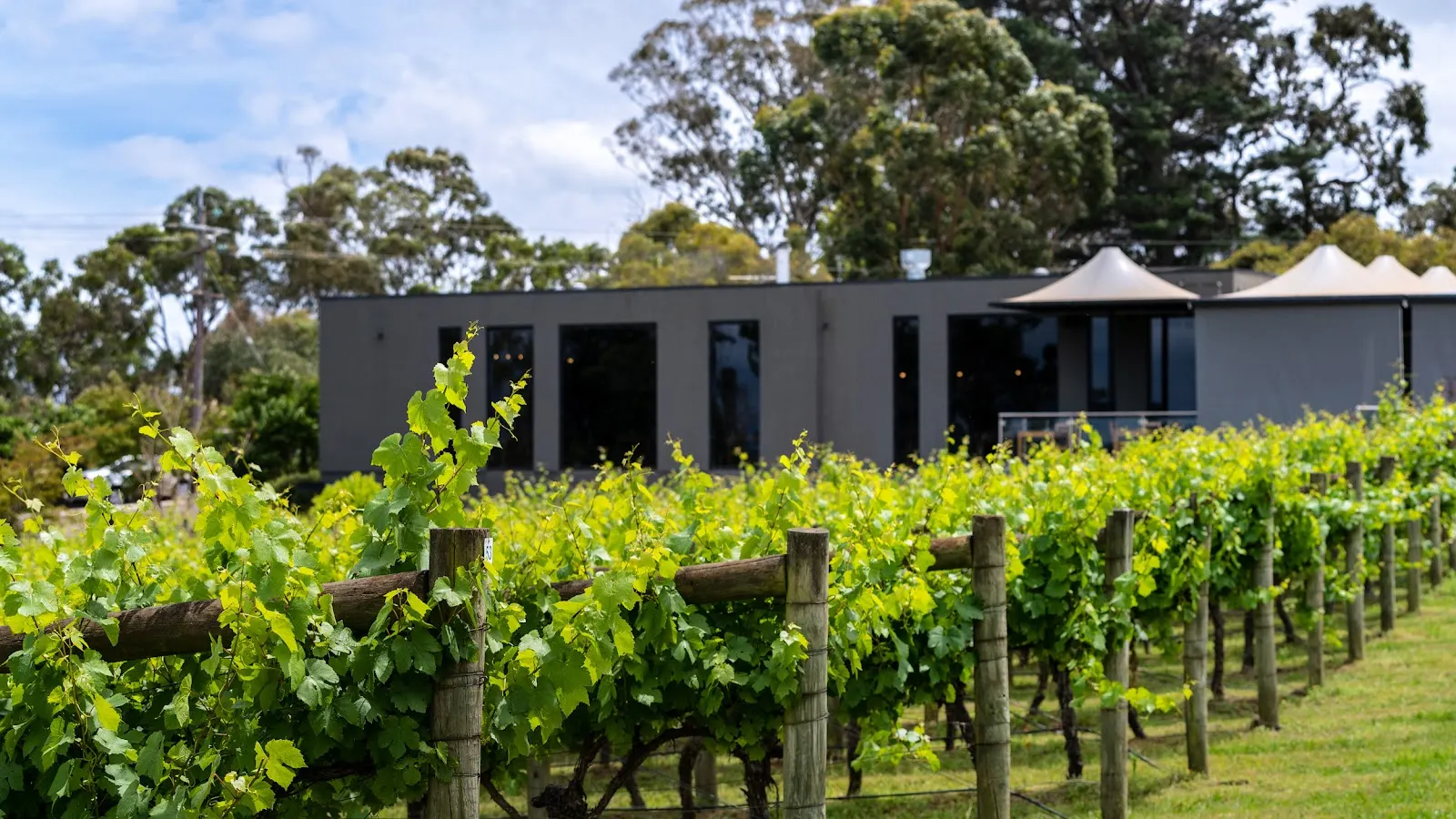Many Hands Winery