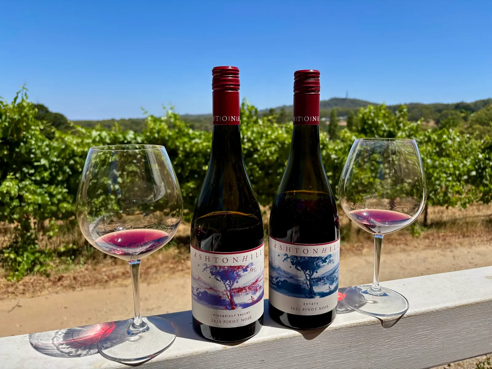 Ashton Hills Vineyard