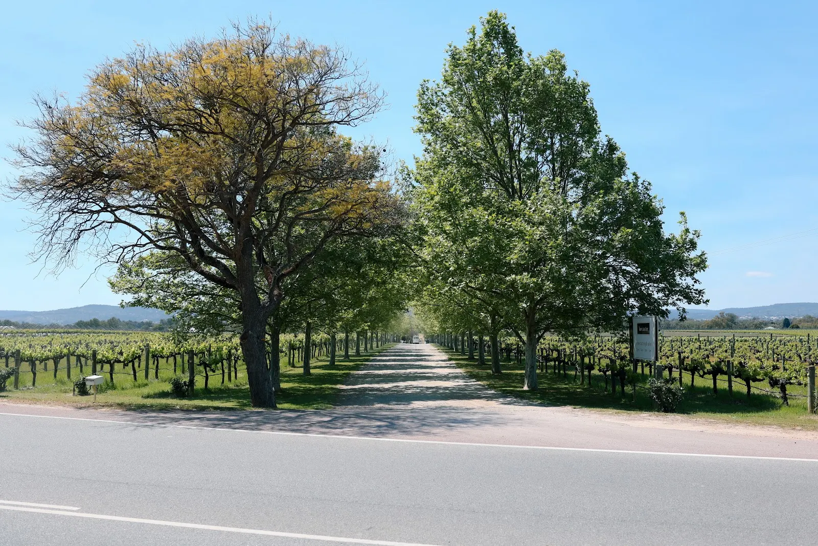 Lancaster Wines