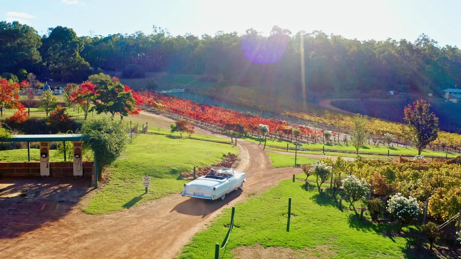 MyattsField Vineyards