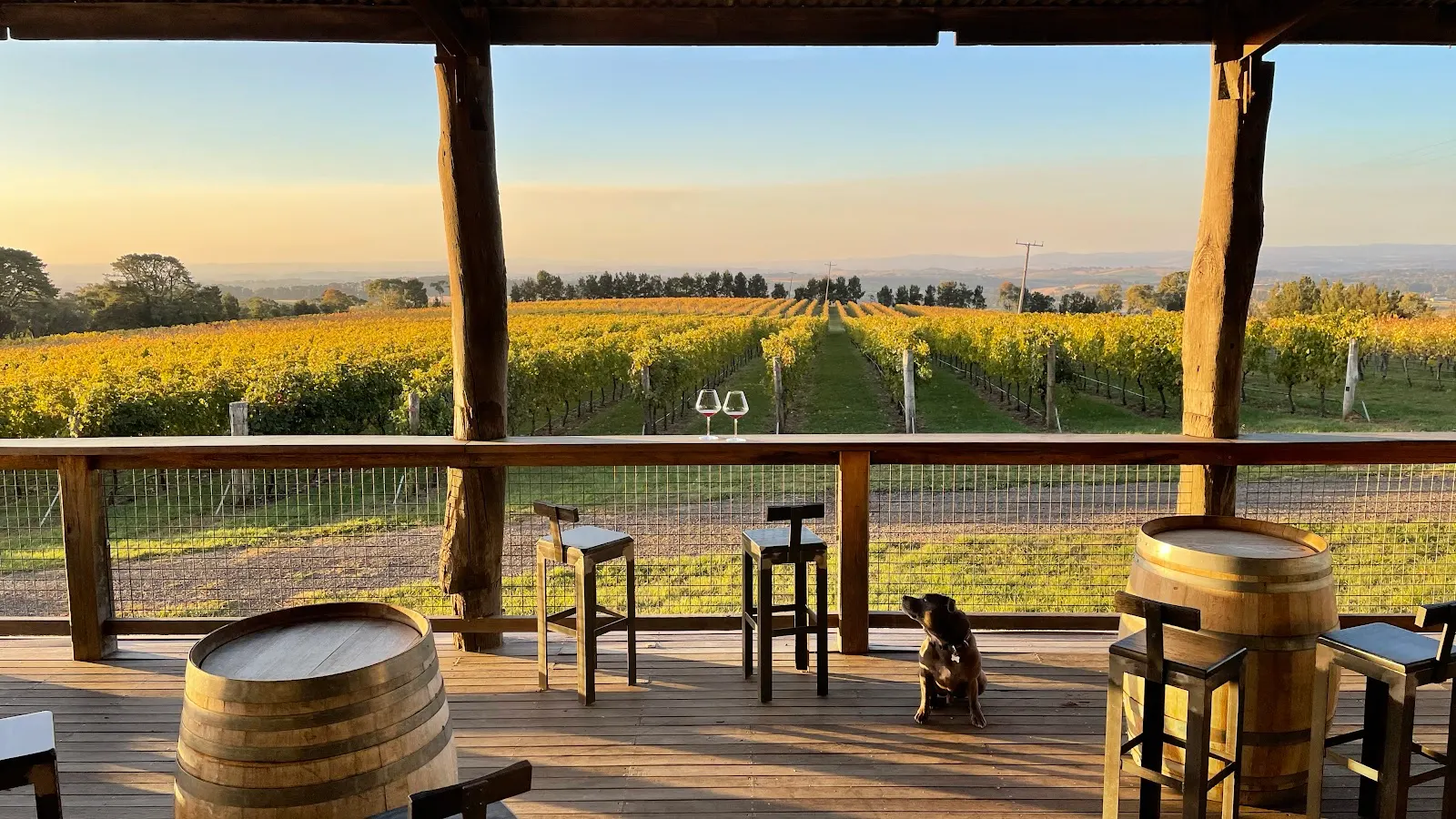 De Salis Wines