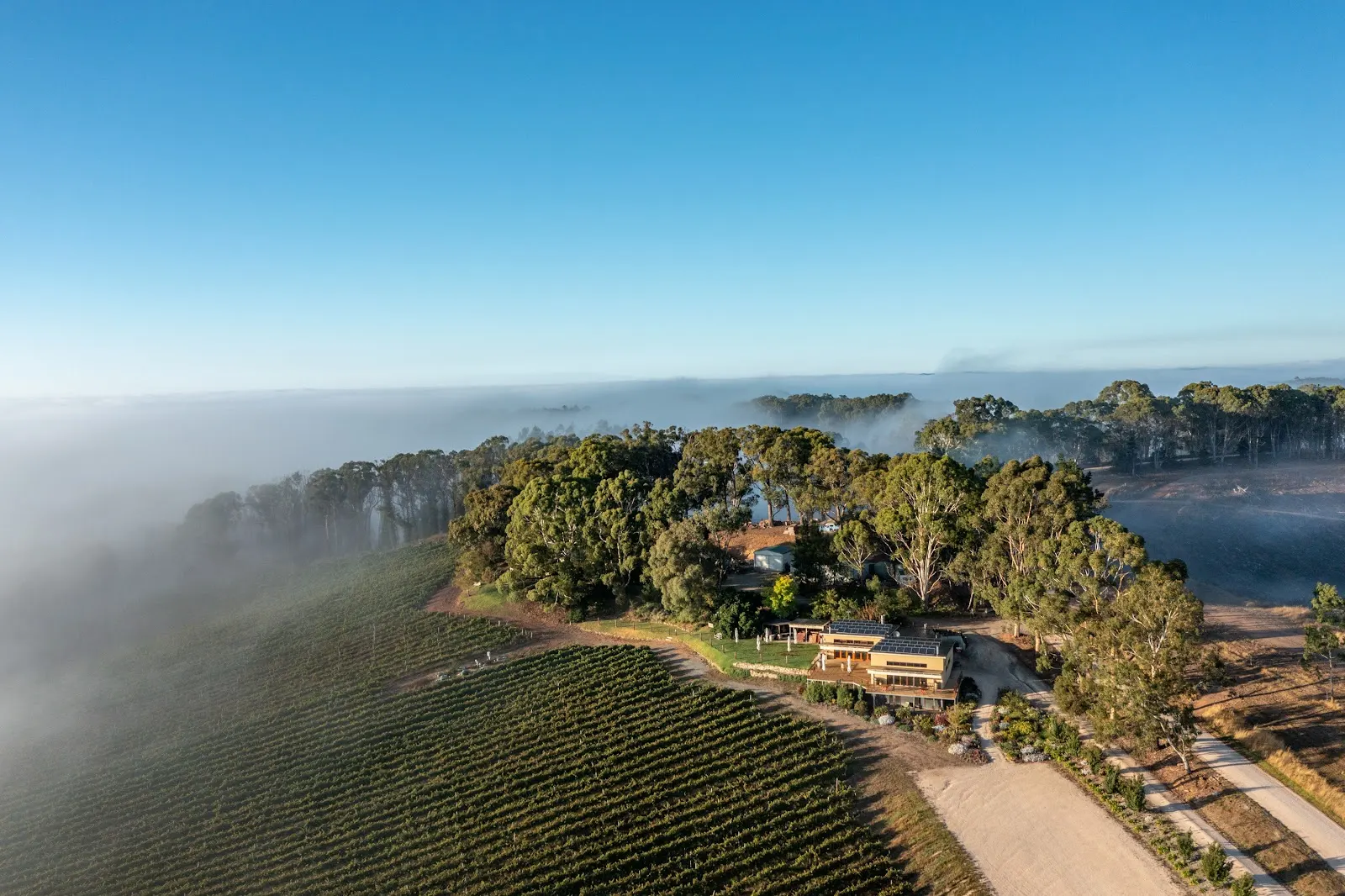 Anderson Hill Cellar Door Restaurant