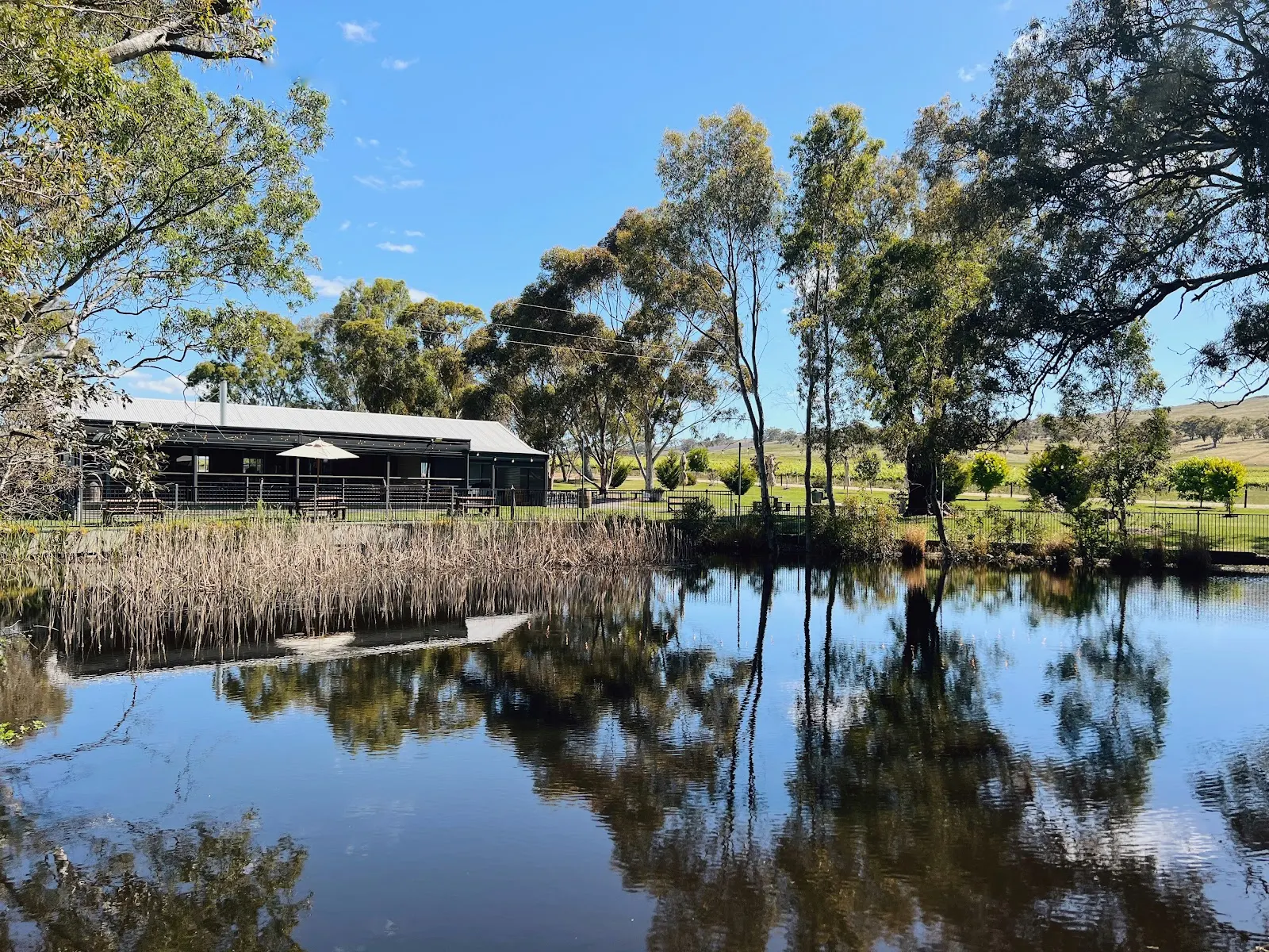 Hill River Wines