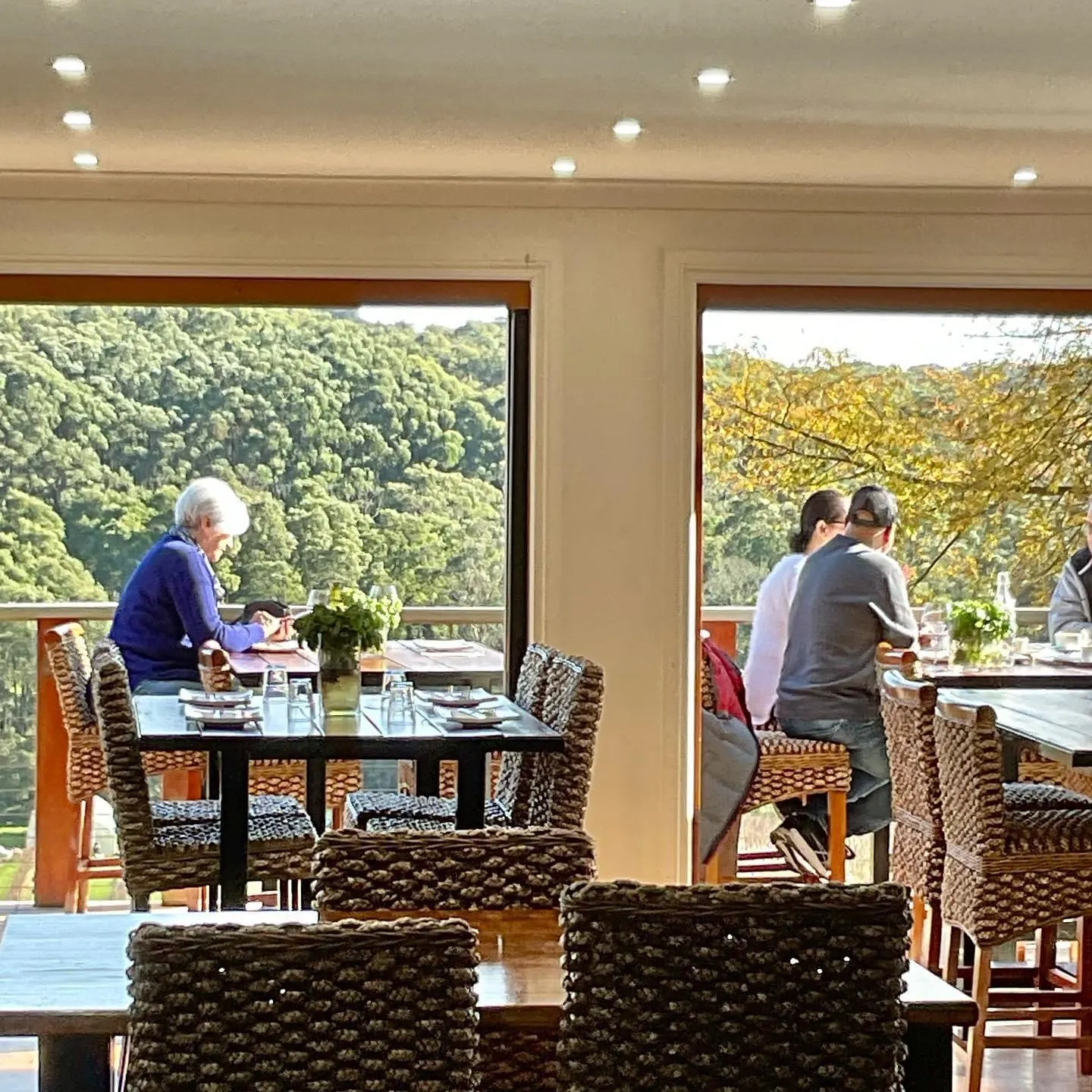 Abelli Estate Winery