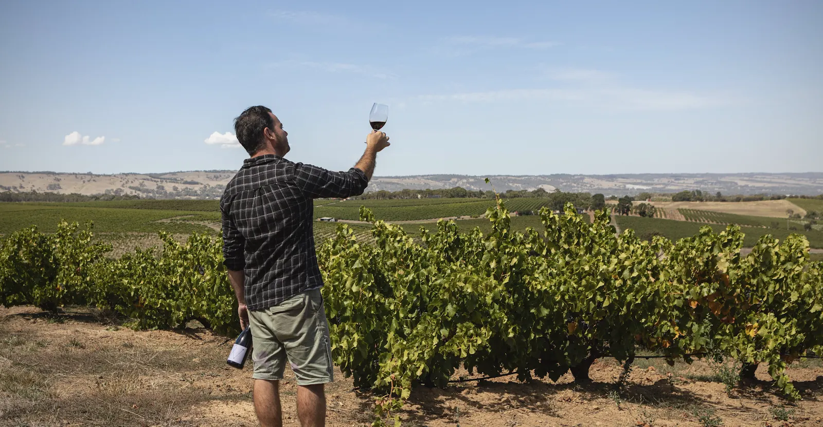 Varney Wines