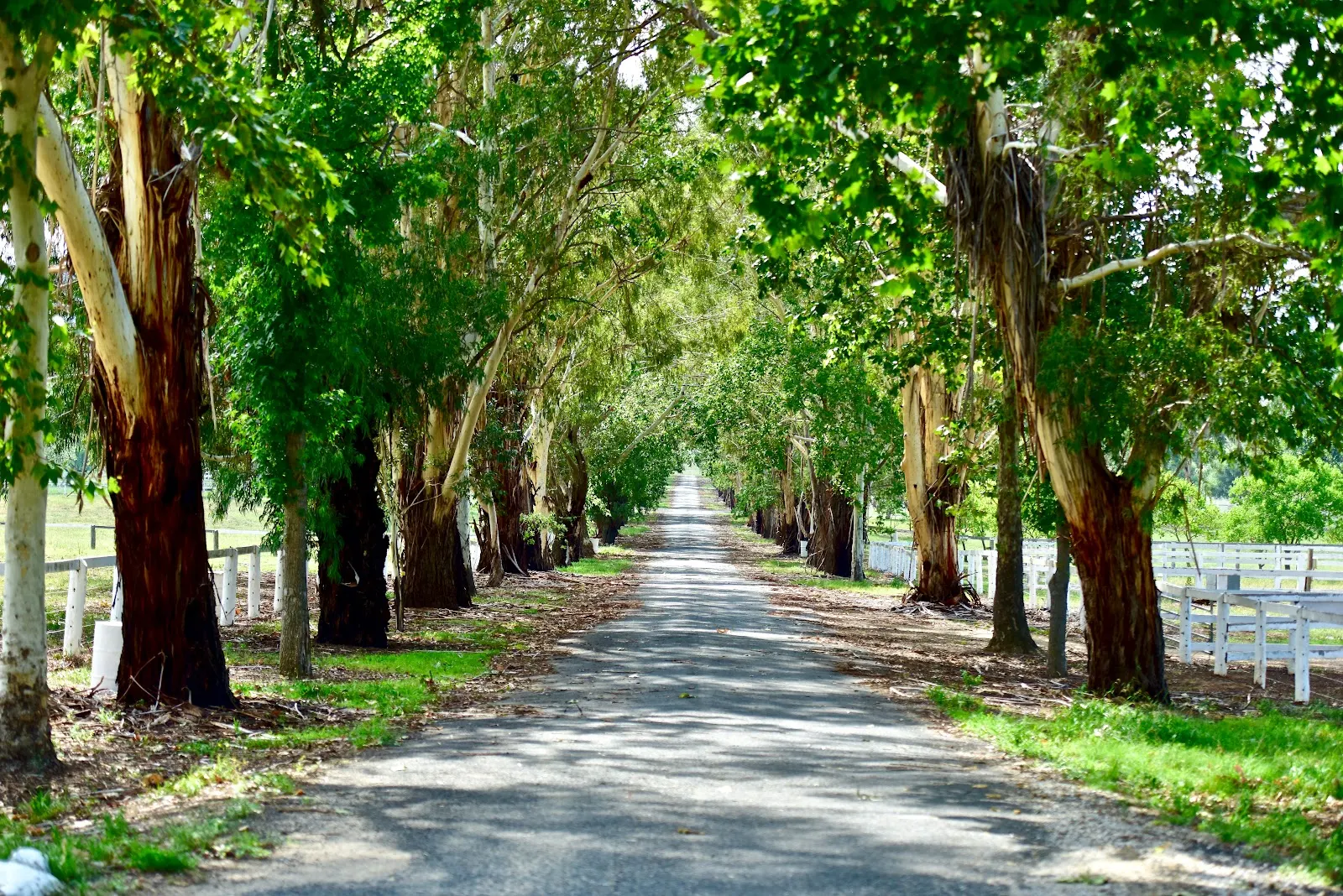Gooree Park