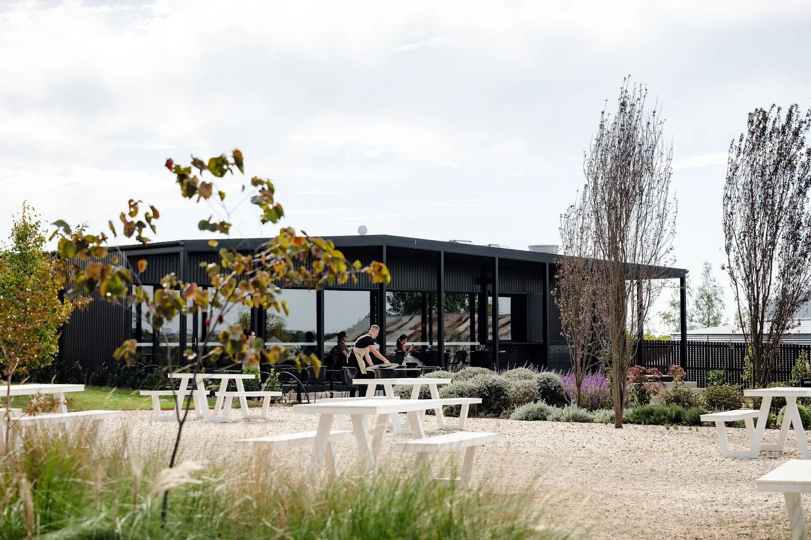 Rowlee Wines