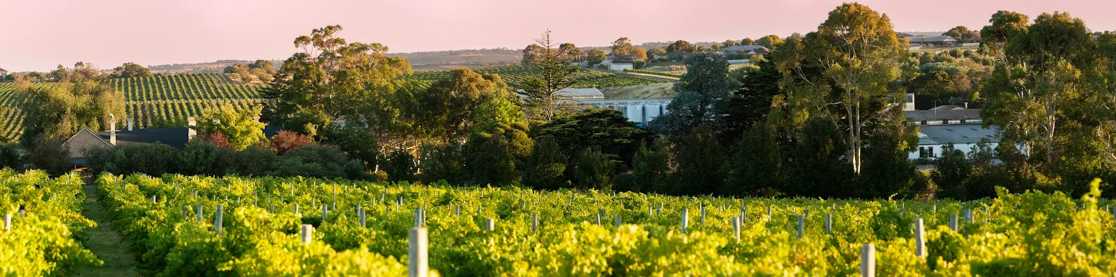 Pirramimma Winery