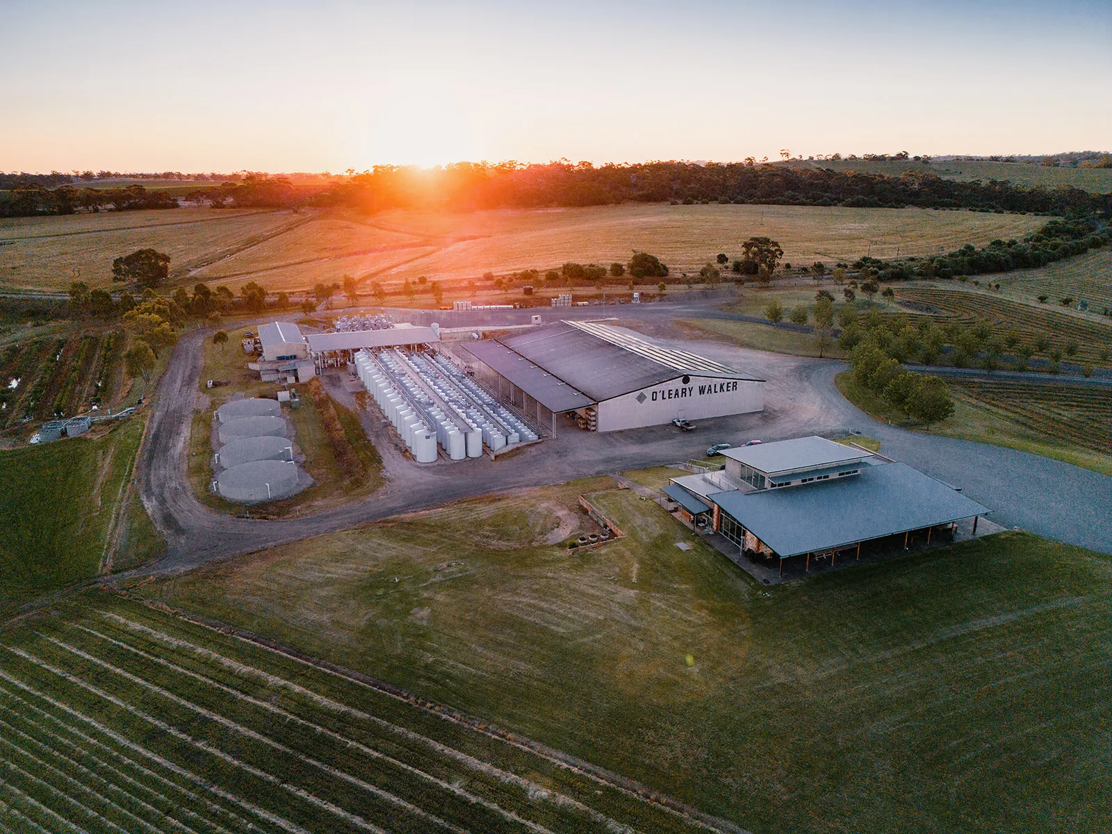O'Leary Walker Wines