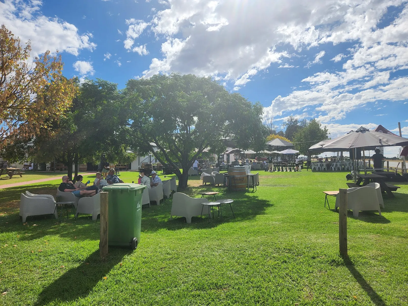 Cofield Wines