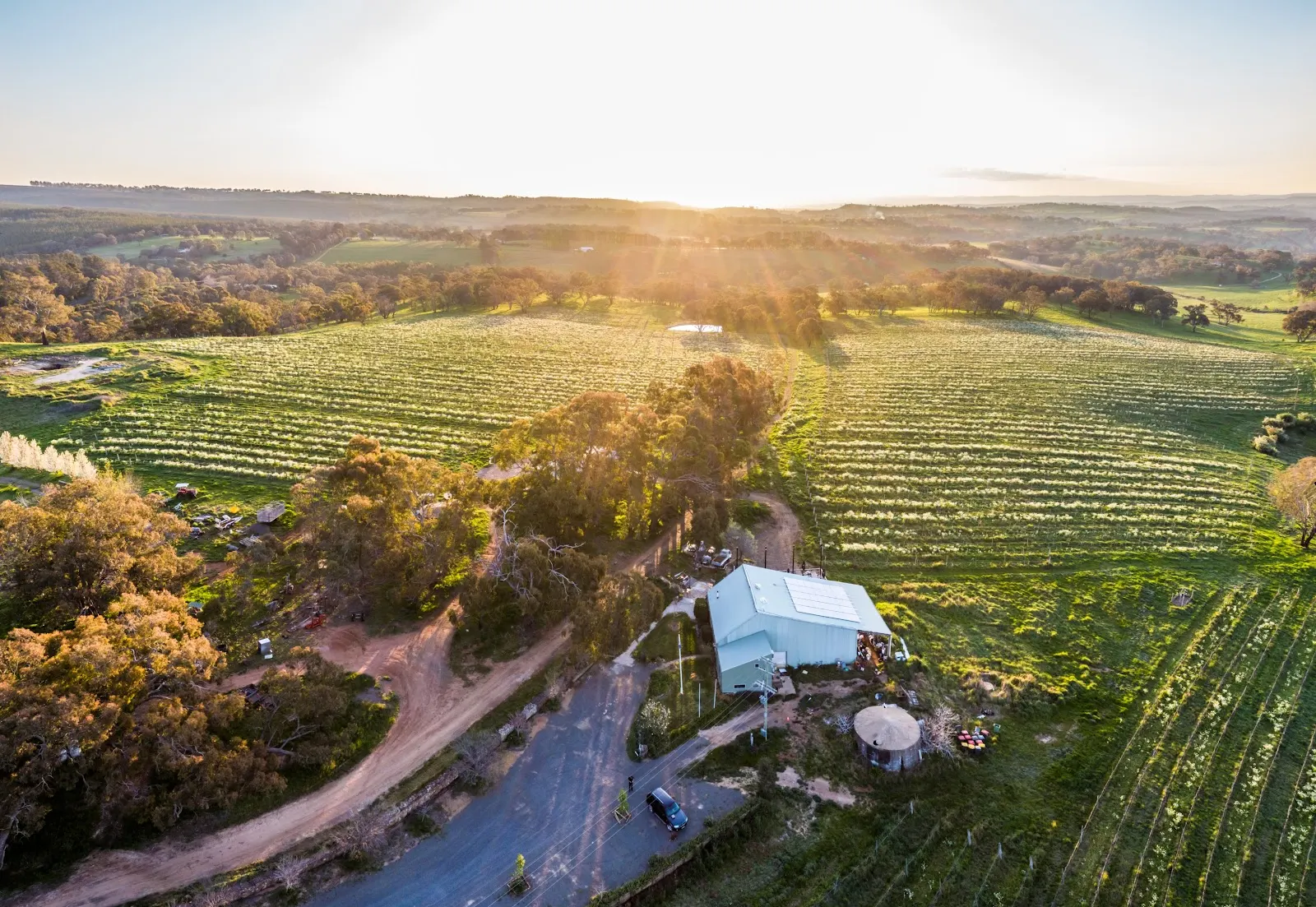 Cargo Road Wines