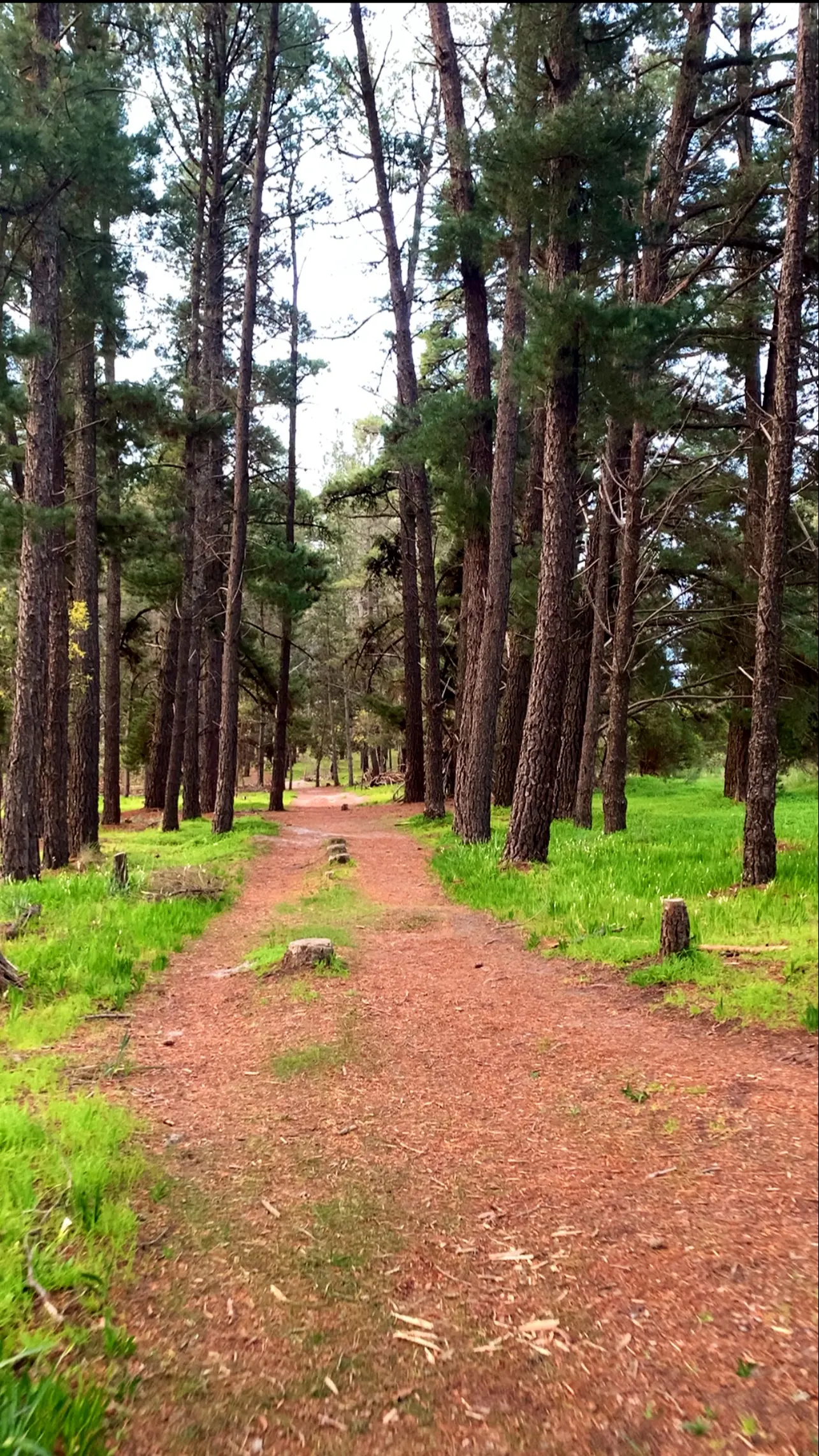 Flagstaff Rotary Walk