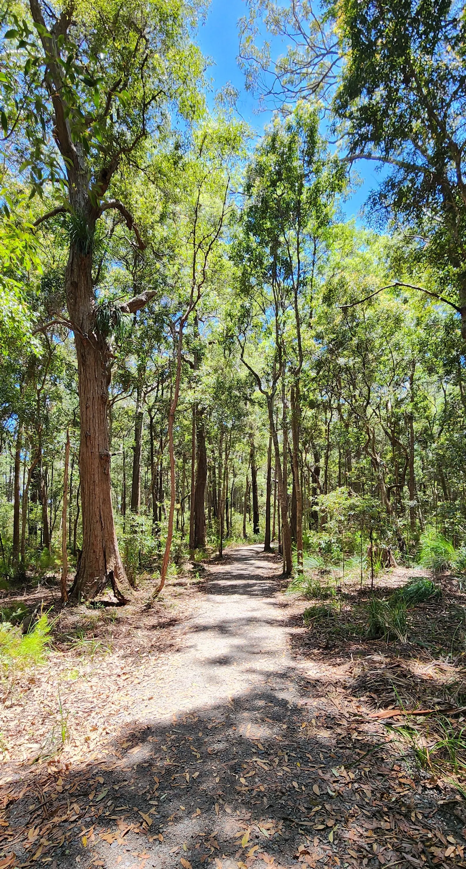 Mountain Creek Recreational Trail