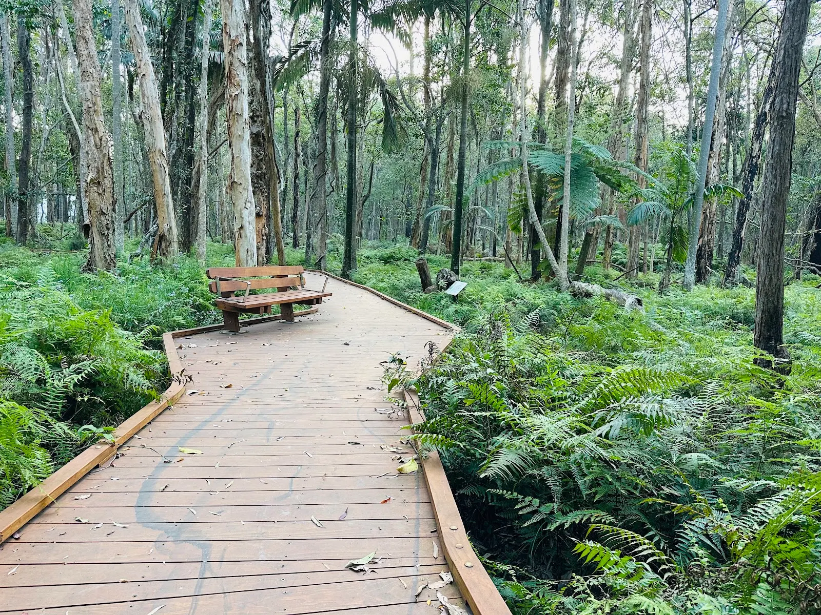 Daisy Hill Trails