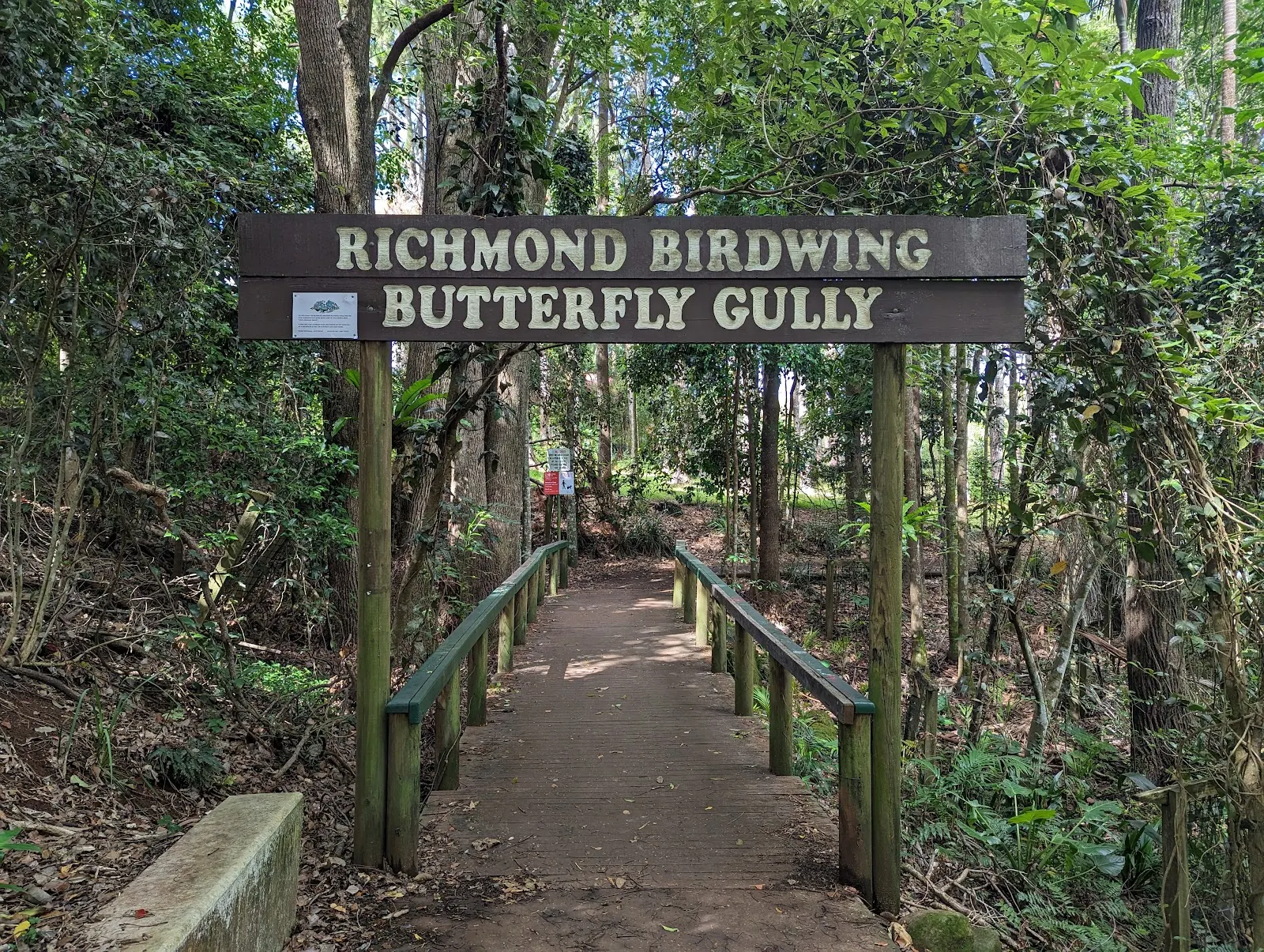 Richmond Birdwing Butterfly Gully