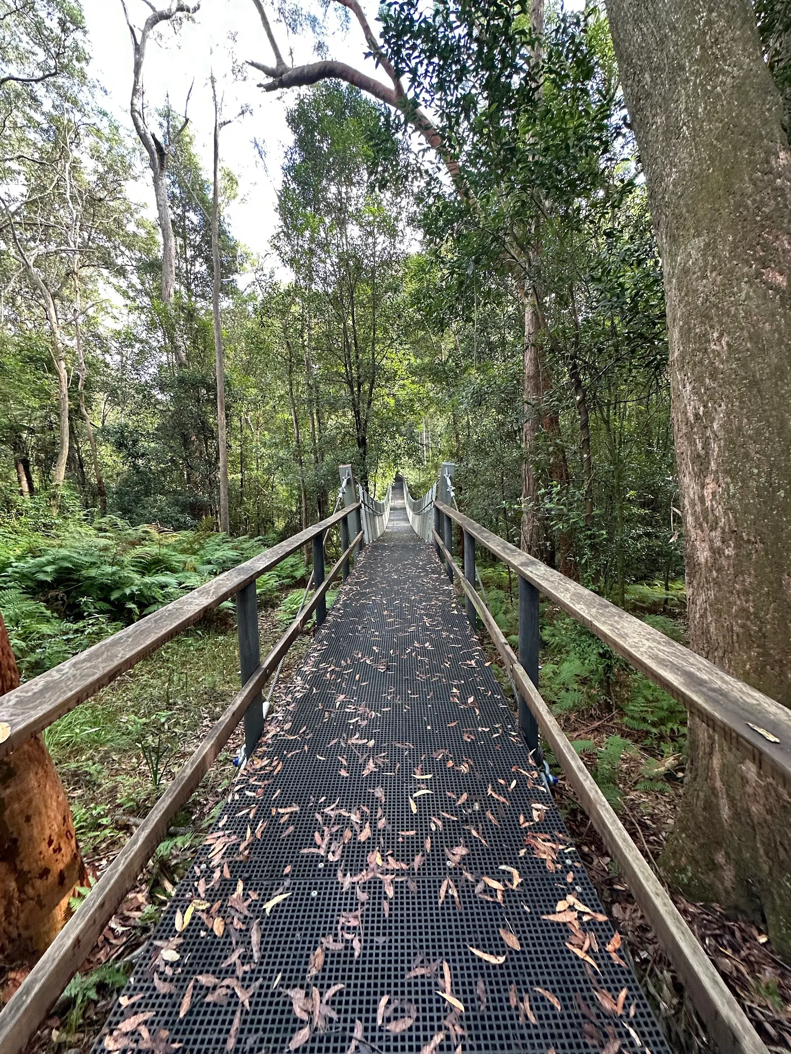 Pyes Creek swing bridge