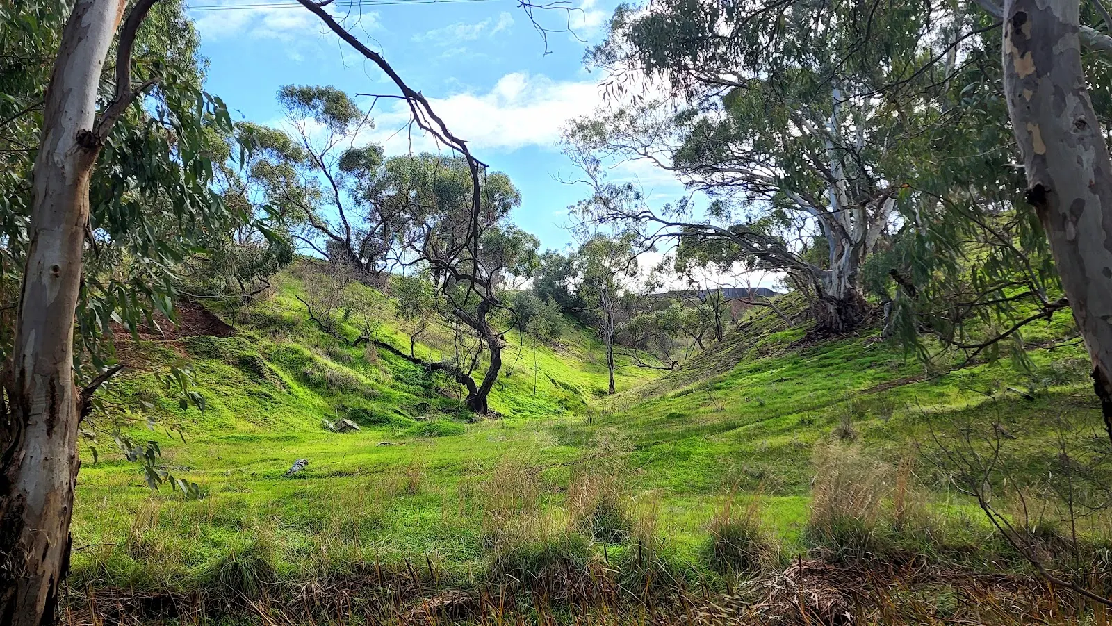 Upper Little Para Trail