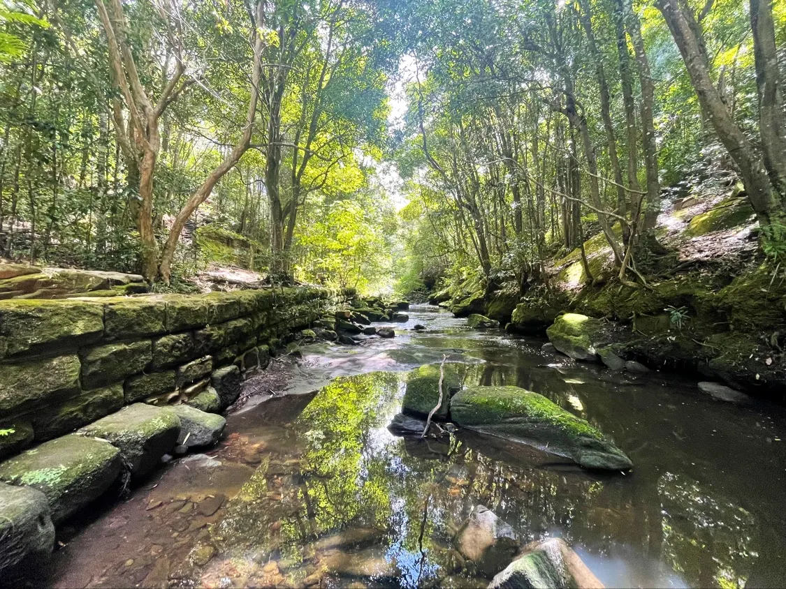 Flat Rock Creek