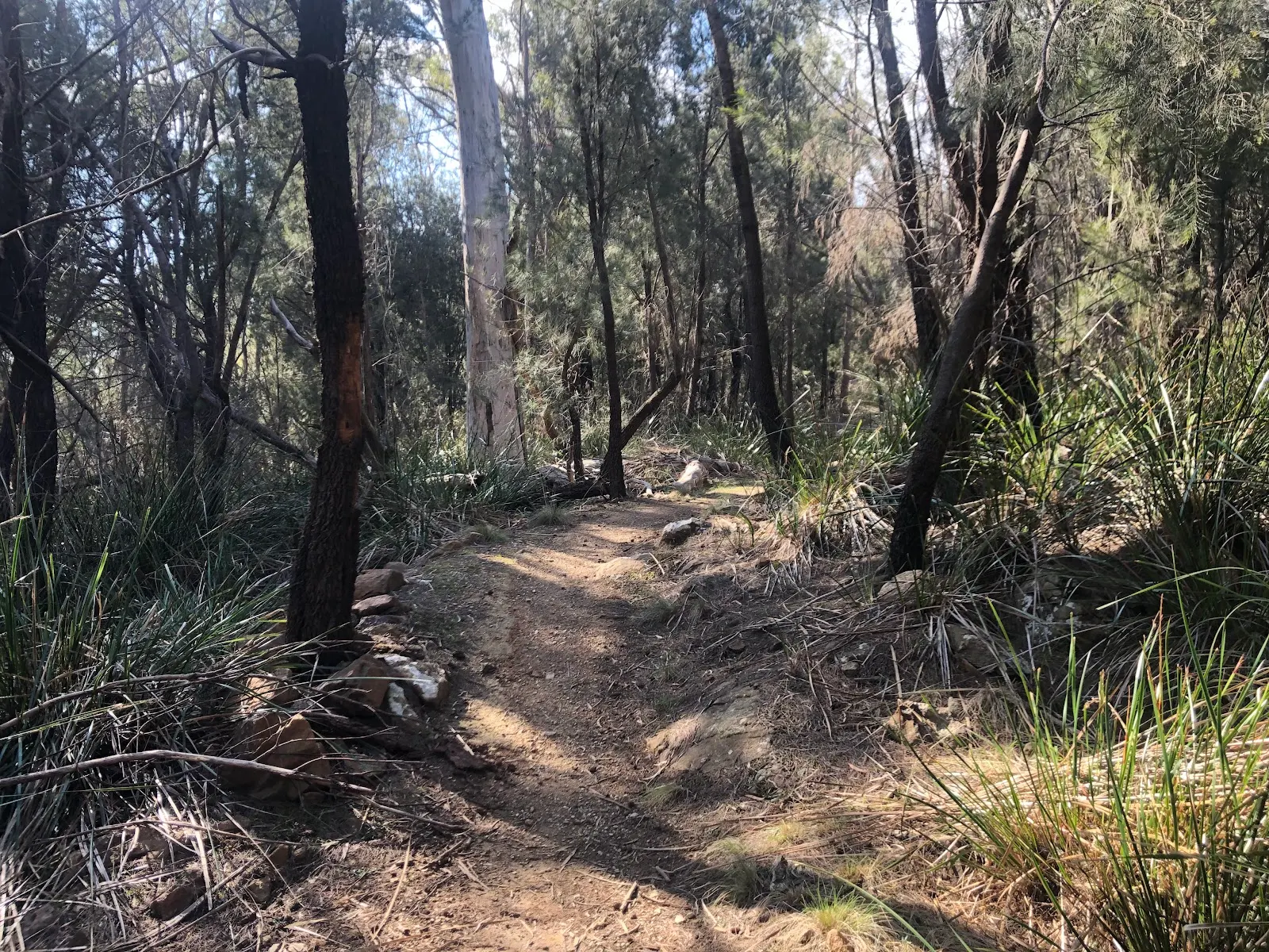 Kate Reed State Recreation Area