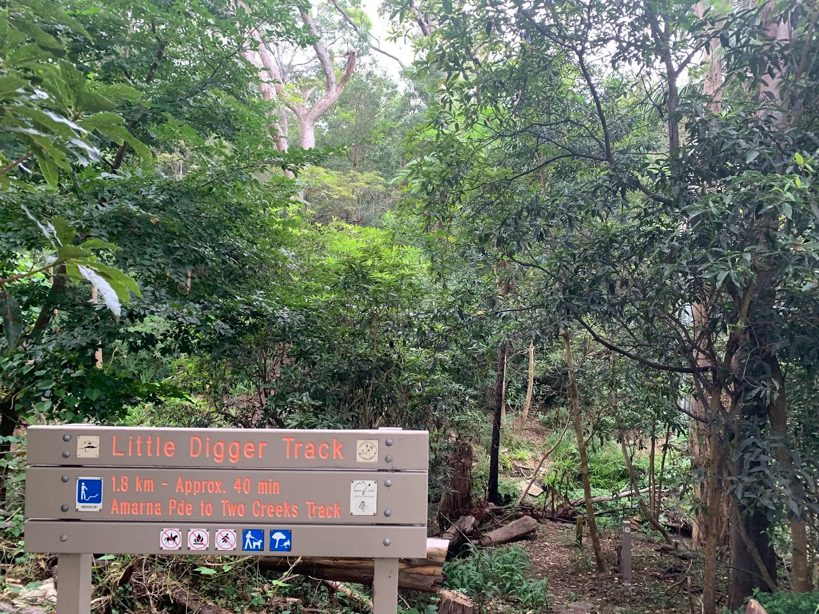 Little Digger Track