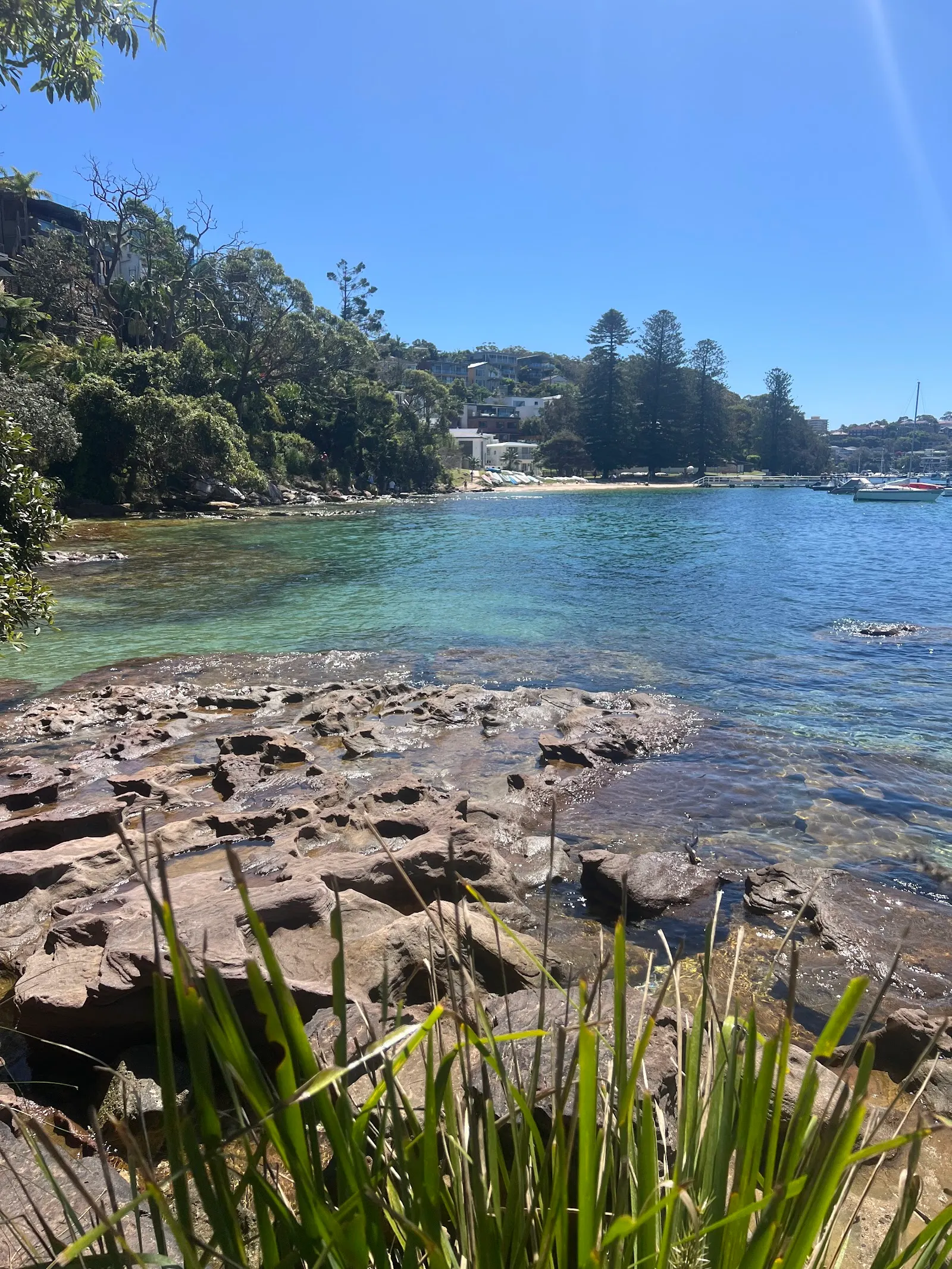 Manly To Spit Bridge Coastal Walk