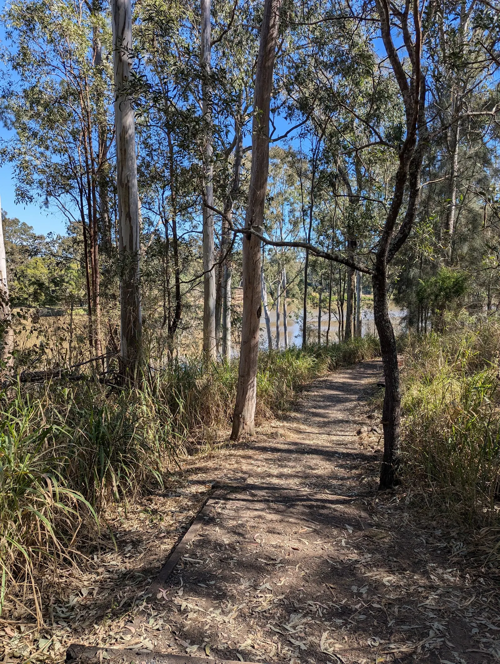 Coucal Trail