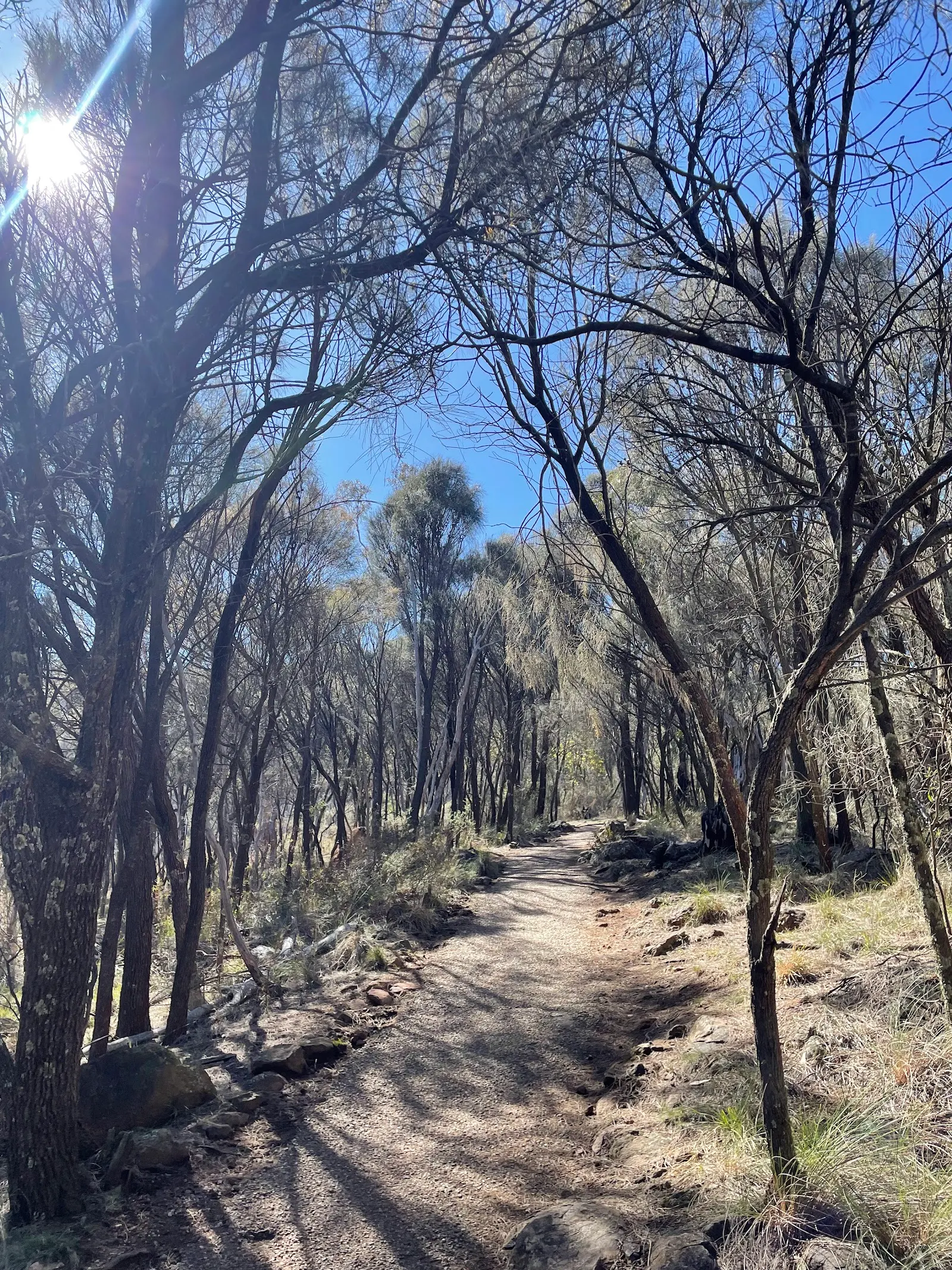 Mount Ainslie Kokoda Memorial Trail