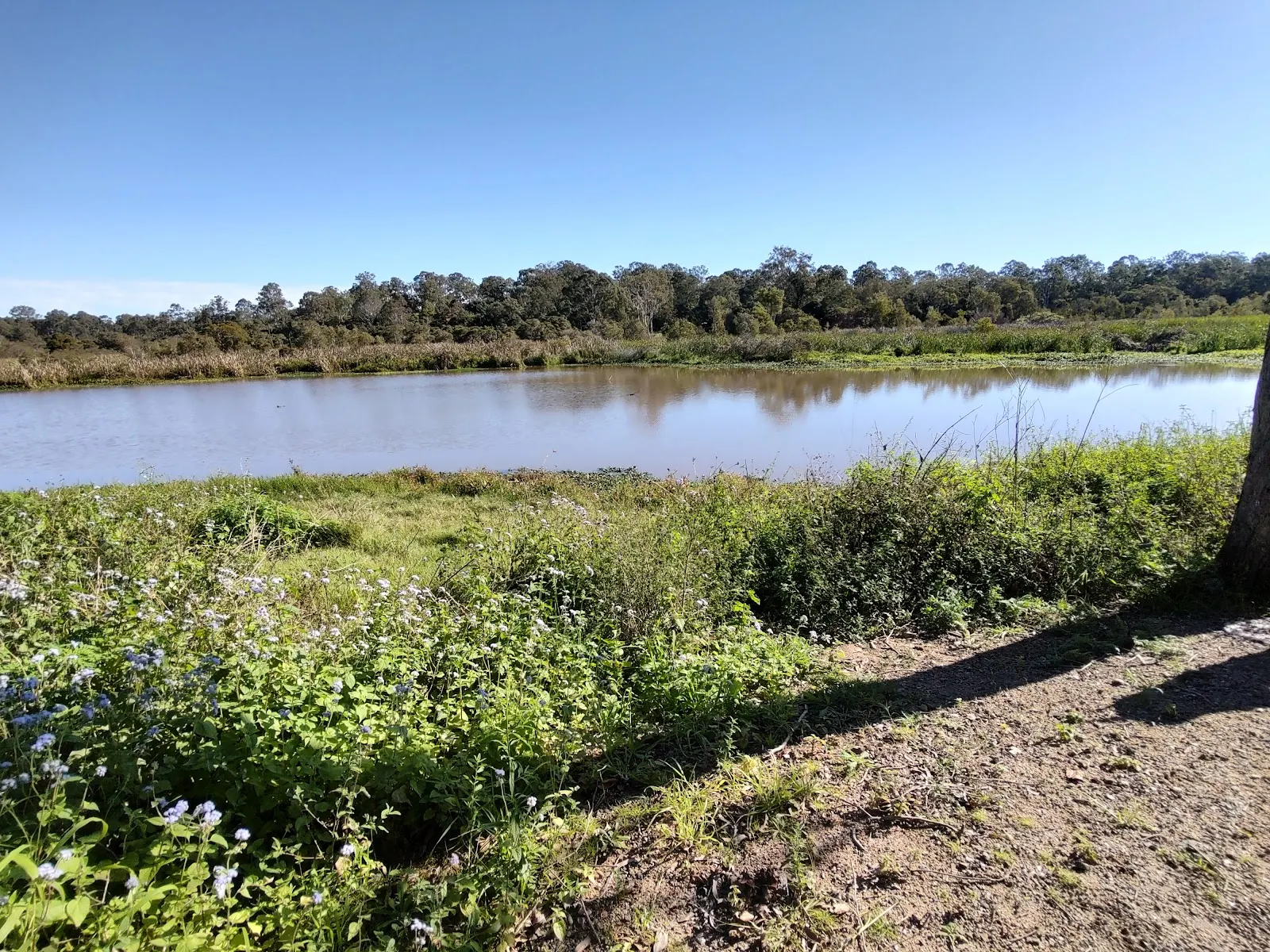 Lookout Archerfield Wetland