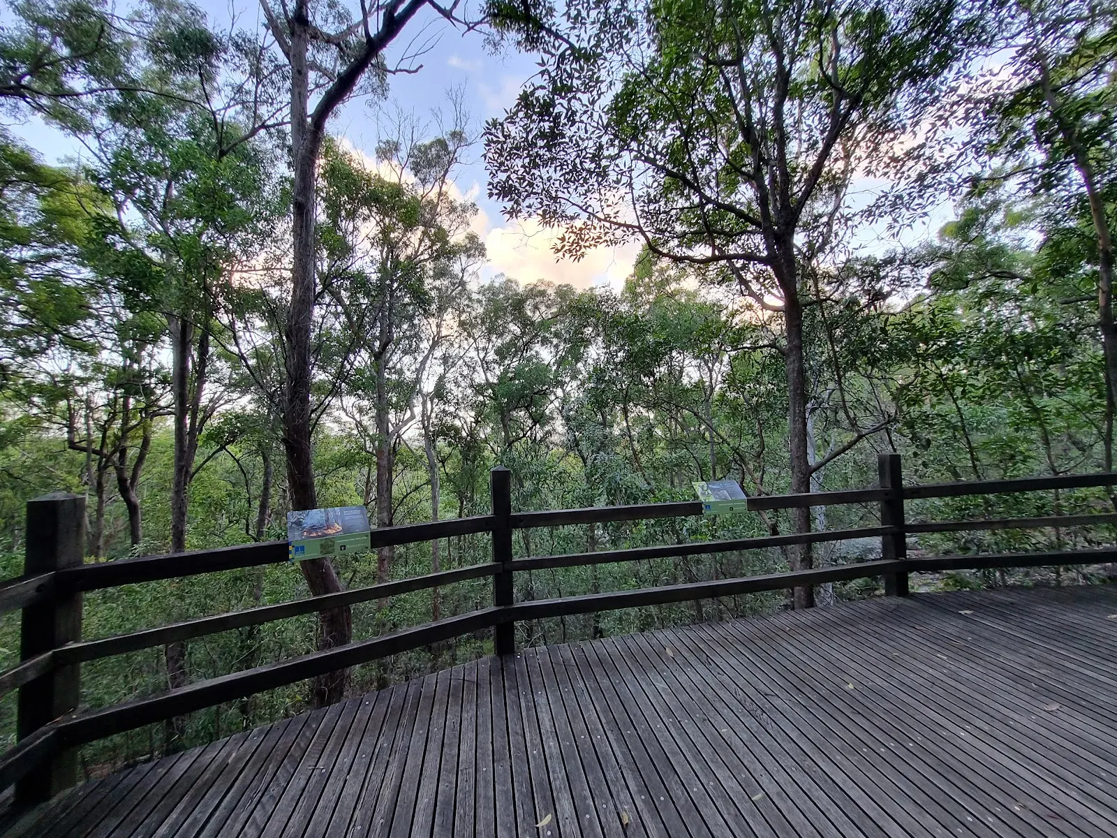 Toohey Forest