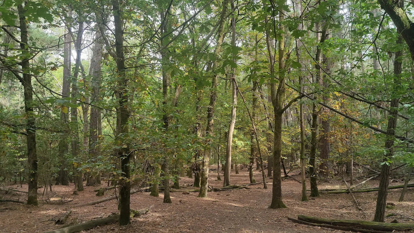 La Gerche walking trail