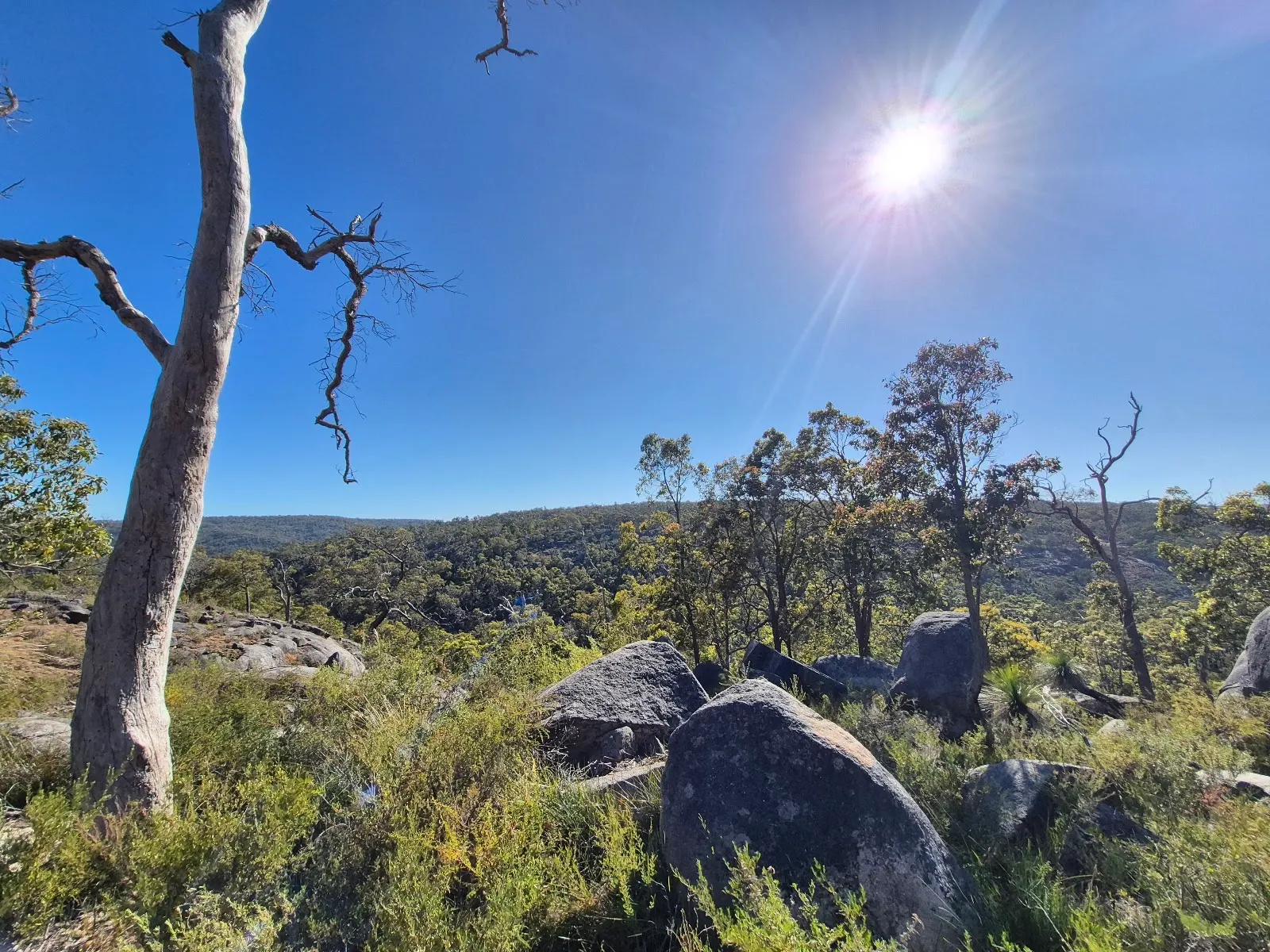 Jorgensen Park Walk Trail