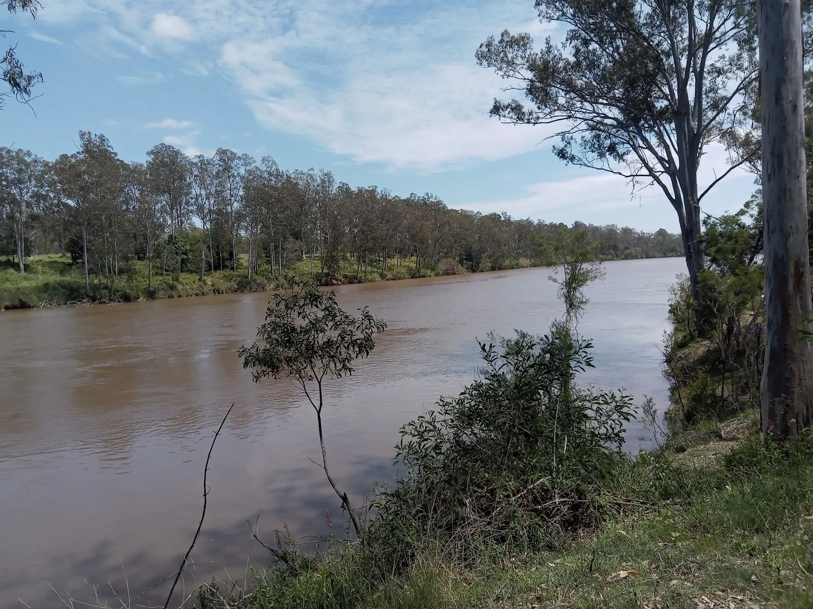 Wilsons Walkway Mt Ommaney Bushland Reserve