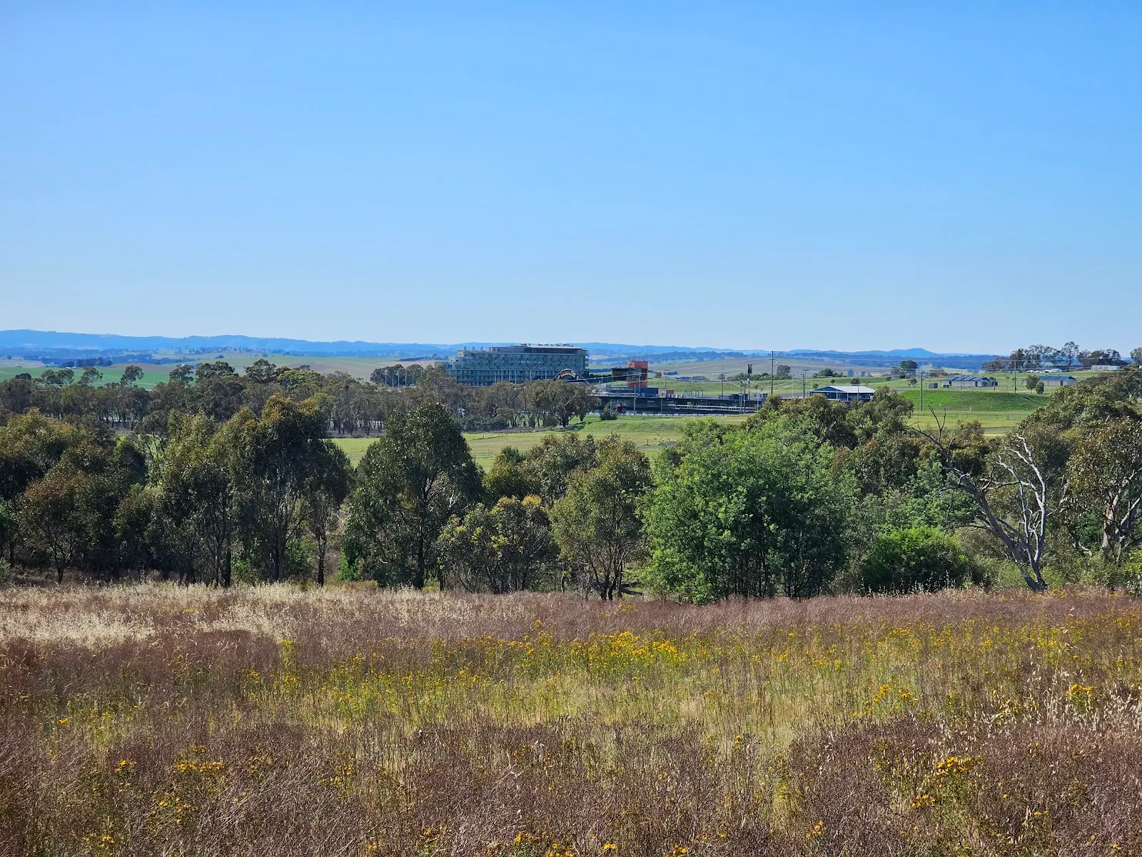 Kangaroo Walking Track