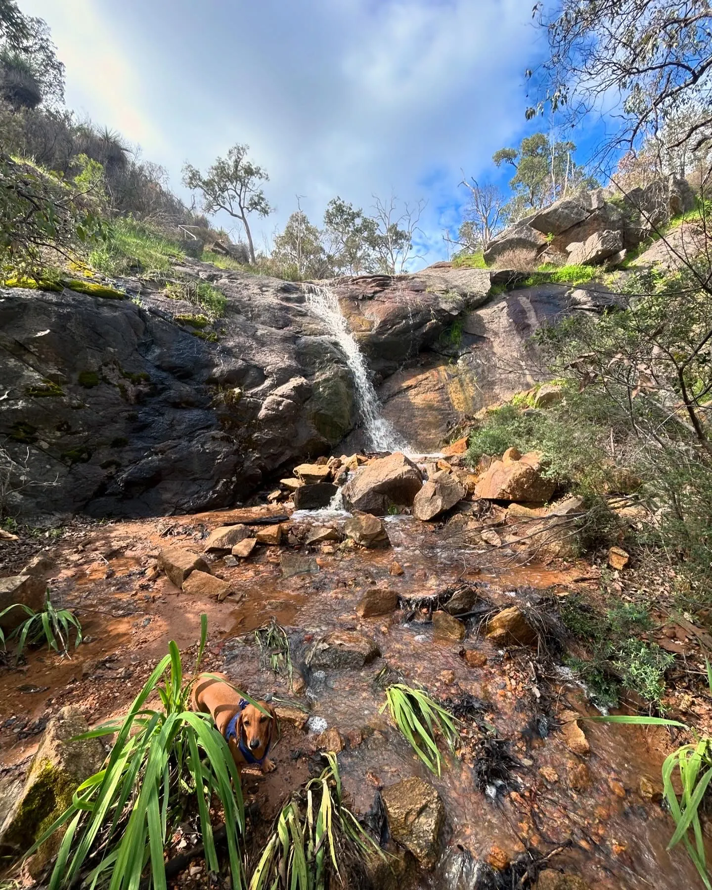 Byford Hills Walk Trail