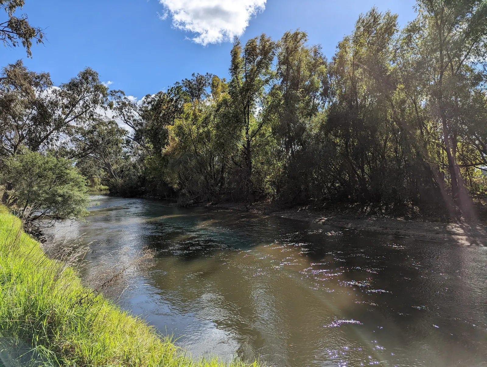 Kiewa River Walking Track