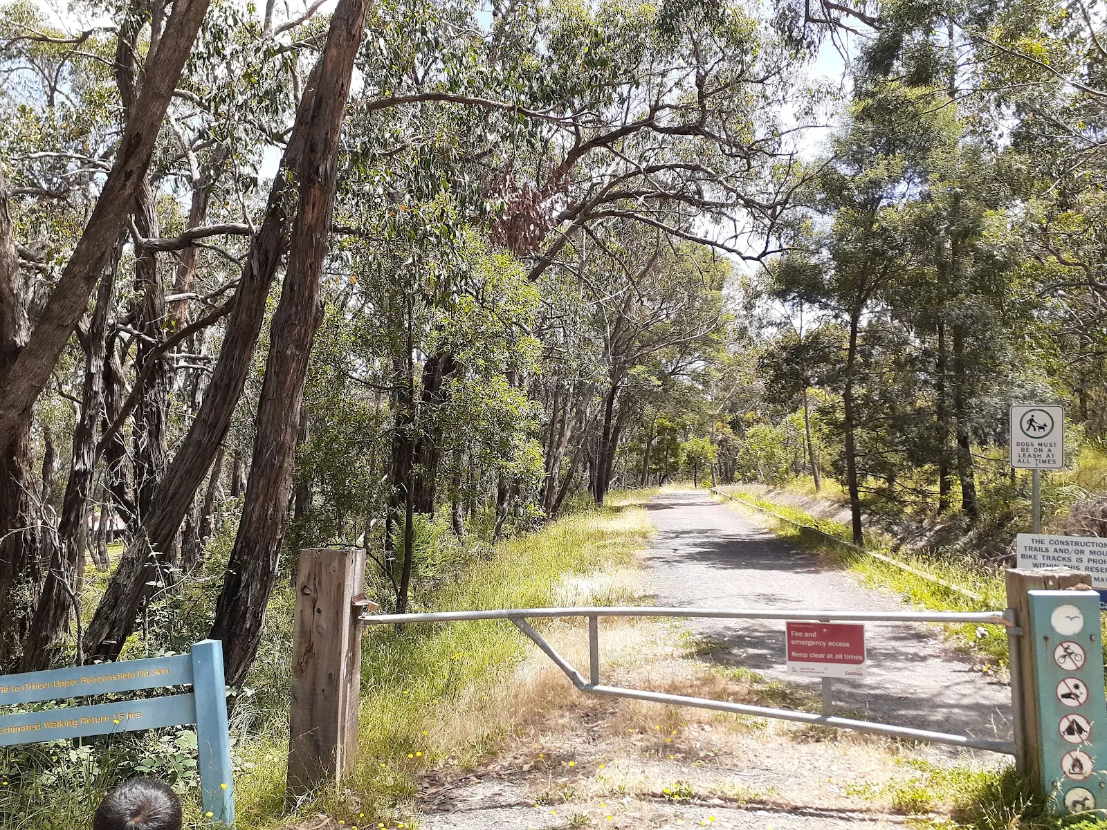 Cardinia Aqueduct Trail