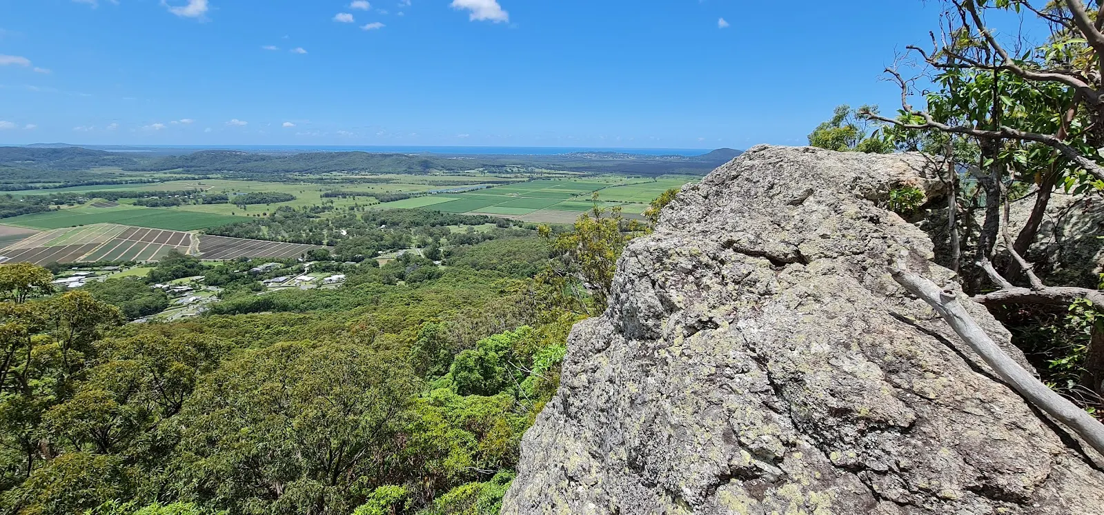 Mount Ninderry walking track