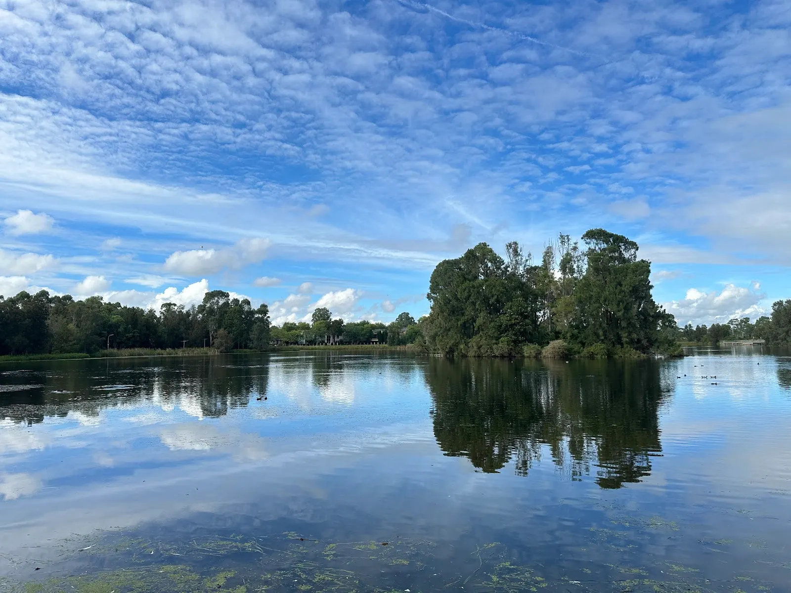 Harrington Lake Walk