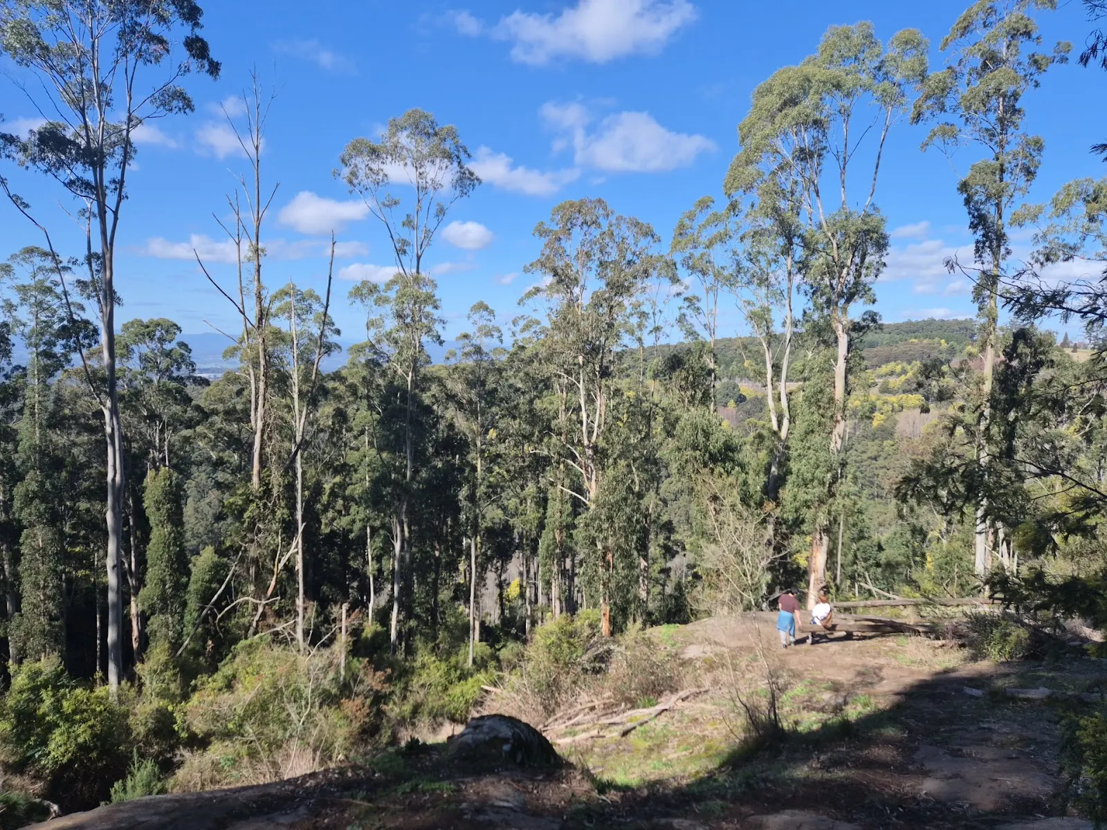 The lookout rock