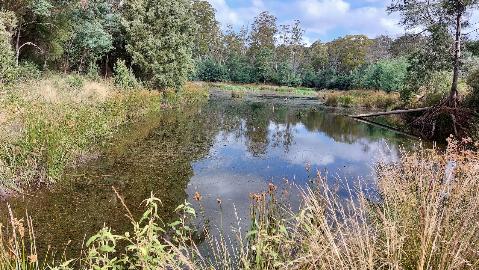 Warrawee Conservation Area